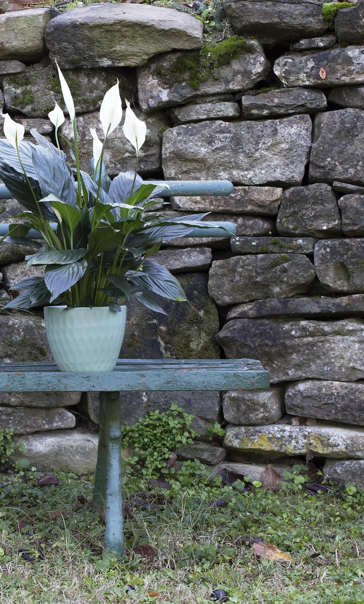 Coprivaso Nicole in ceramica verde H 14 x ø 16 cm - 2