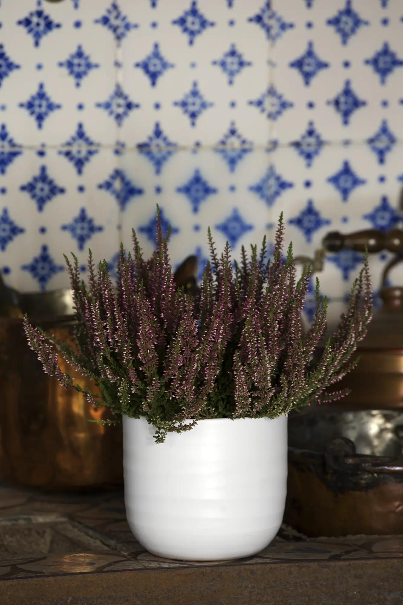 Coprivaso per piante e fiori MERIDA in ceramica bianco H 19.5 cm Ø 22 cm - 2