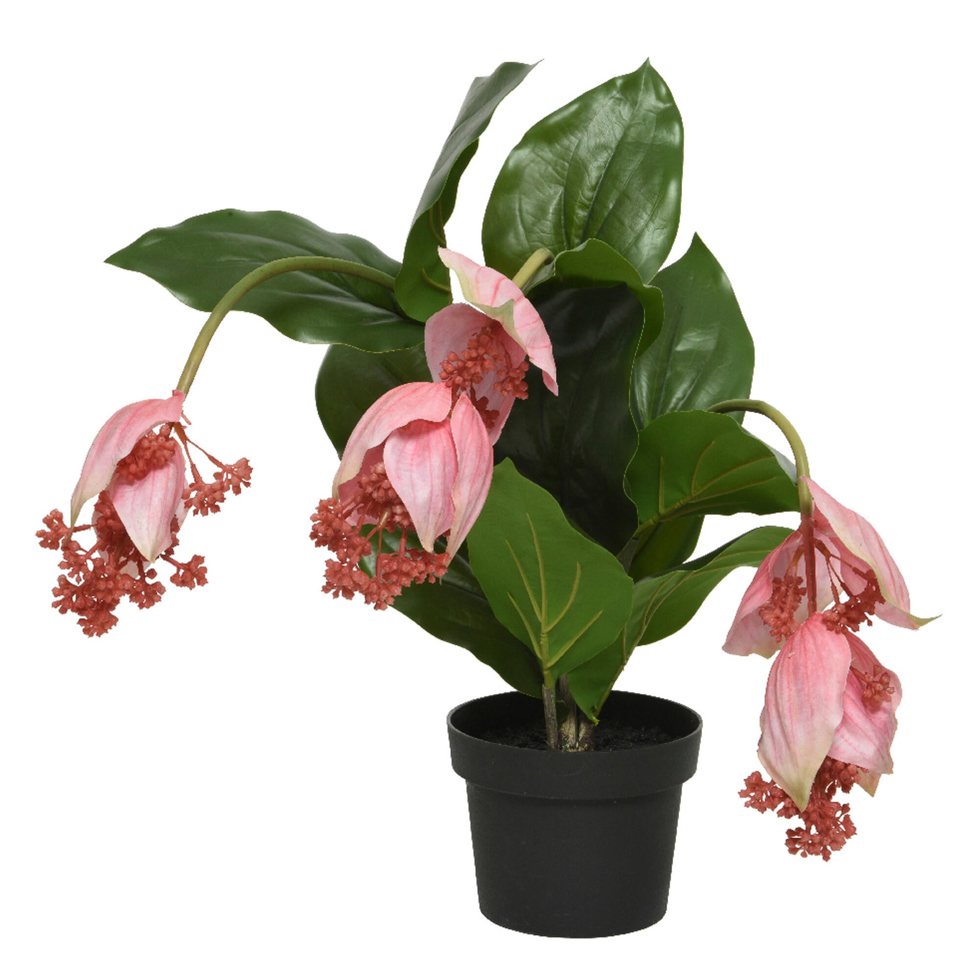 Planta artificial medinilla de 42 cm de altura