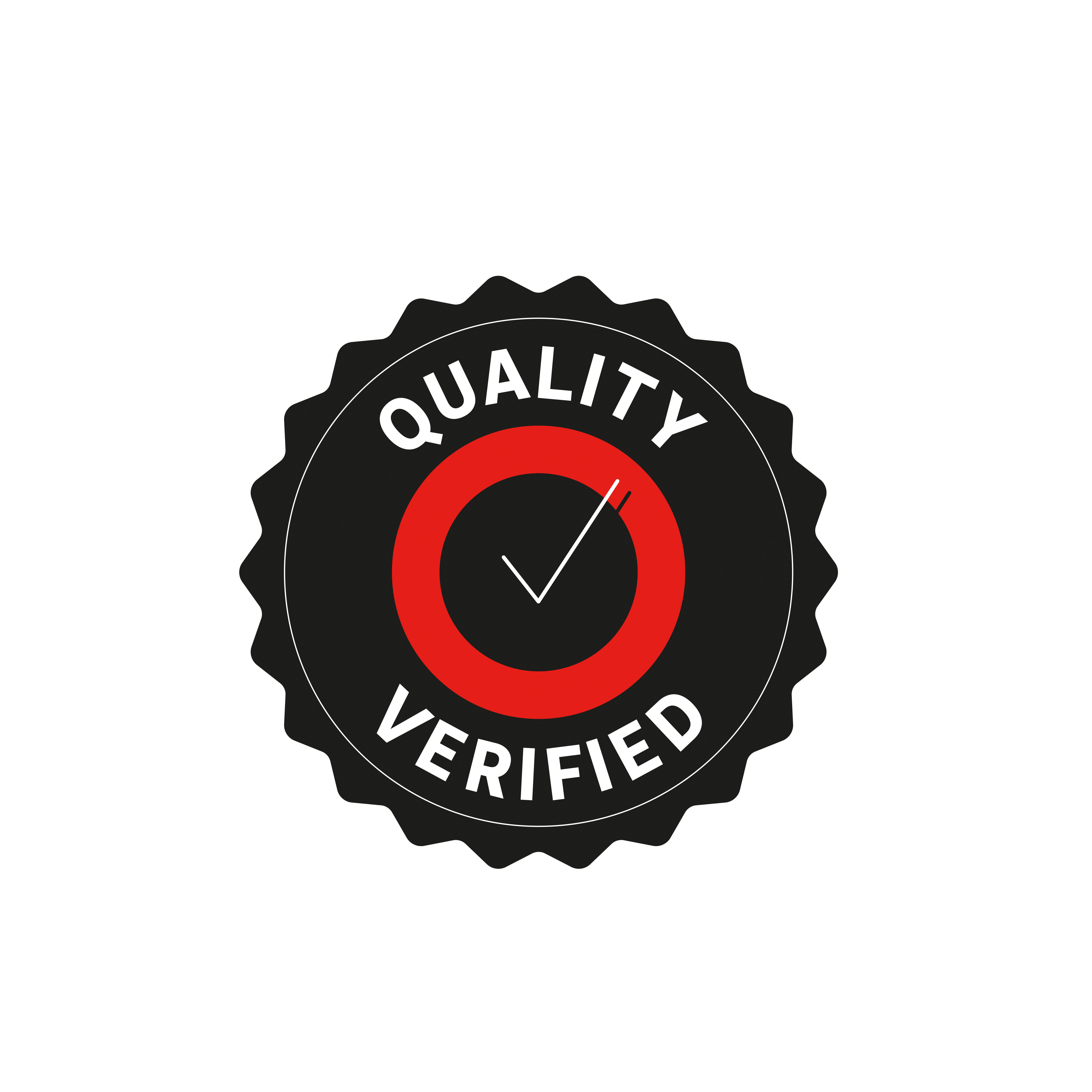 Nettoyeur haute pression électrique STERWINS St1 1500w, 105 bar(s) - 8