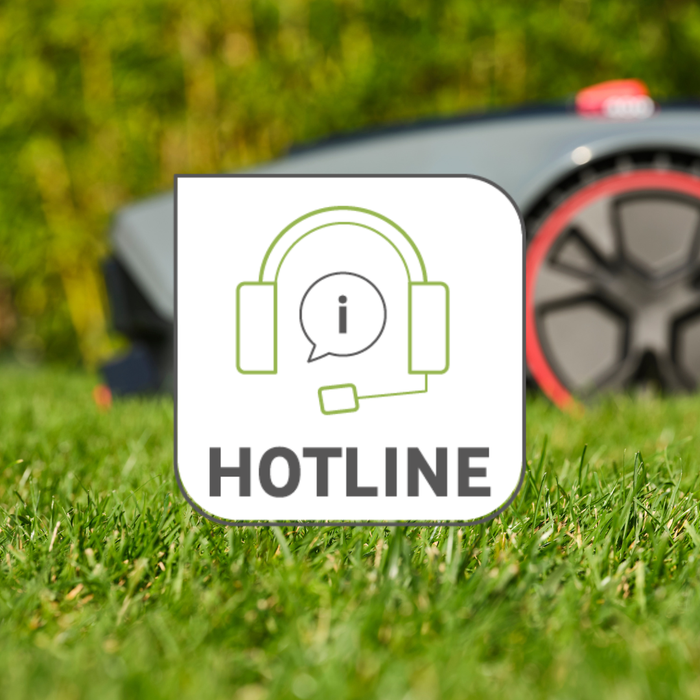 linea diretta sterwins