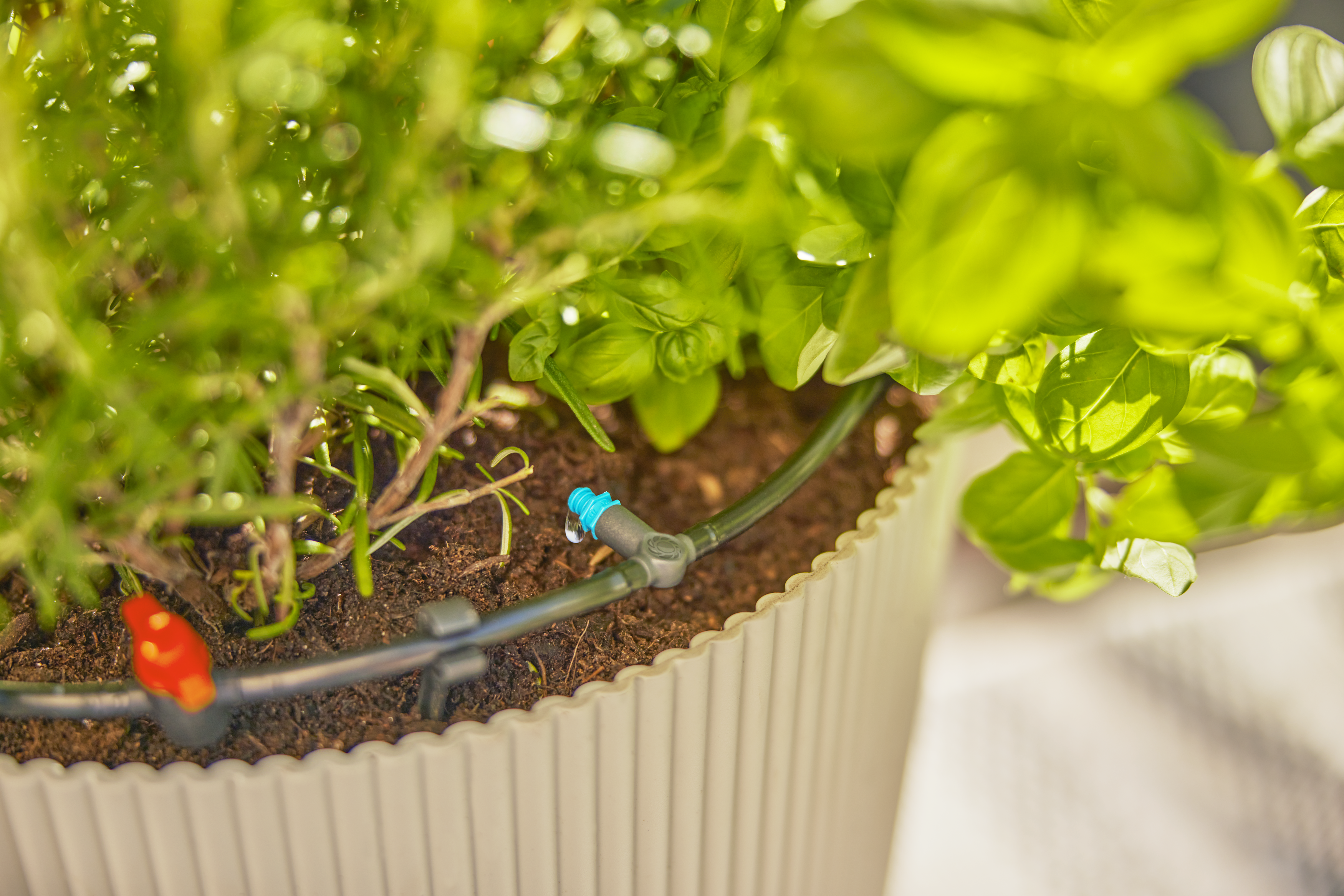 Tuyau polyéthylène nu goutte à goutte GARDENA L.50 m Diam.4.6 mm 1348-26 - 3