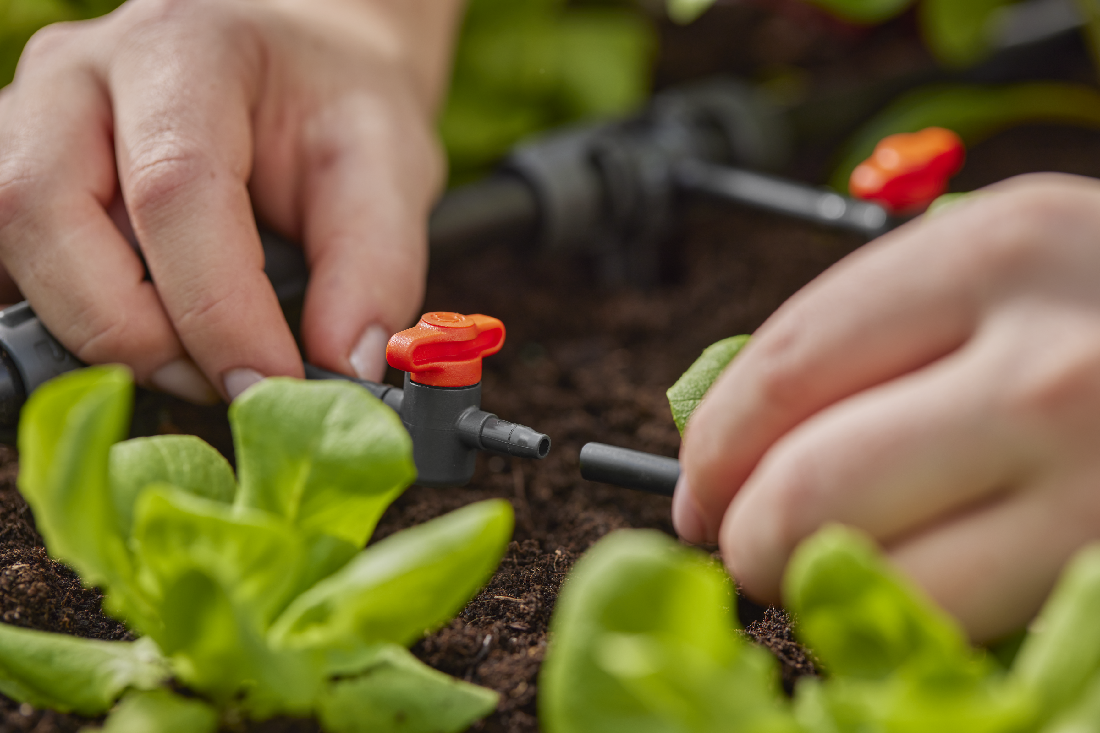 Tuyau polyéthylène nu goutte à goutte GARDENA L.50 m Diam.4.6 mm 1348-26 - 7