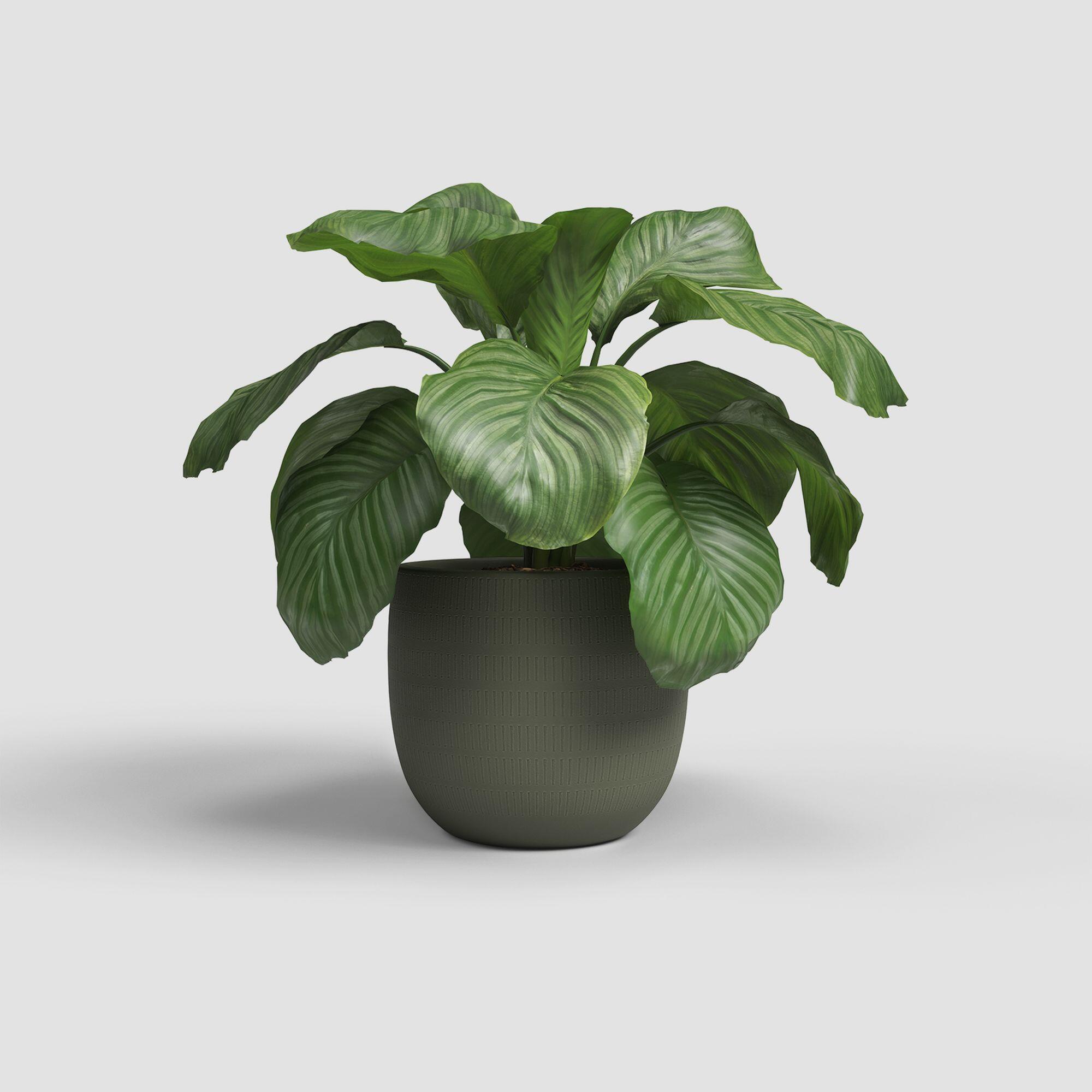 Vaso de cerâmica AURA 25 cm VERDE ARTEVASI - 3