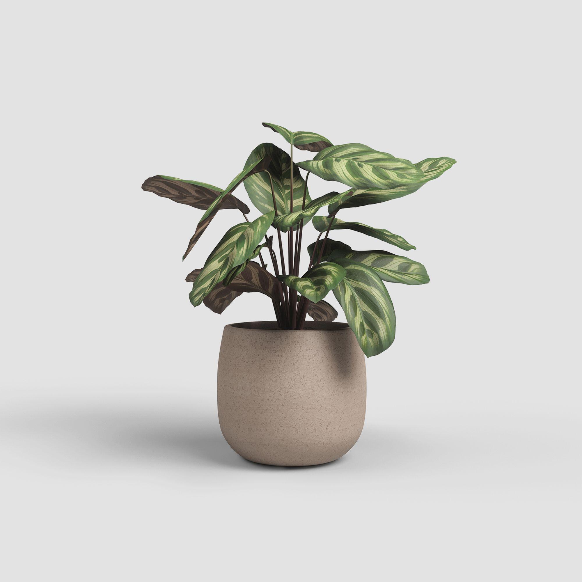 Vaso de cerâmica HEMERA 39CM TORTORA - 3