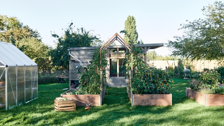 Une arche de jardin au potager | Leroy Merlin