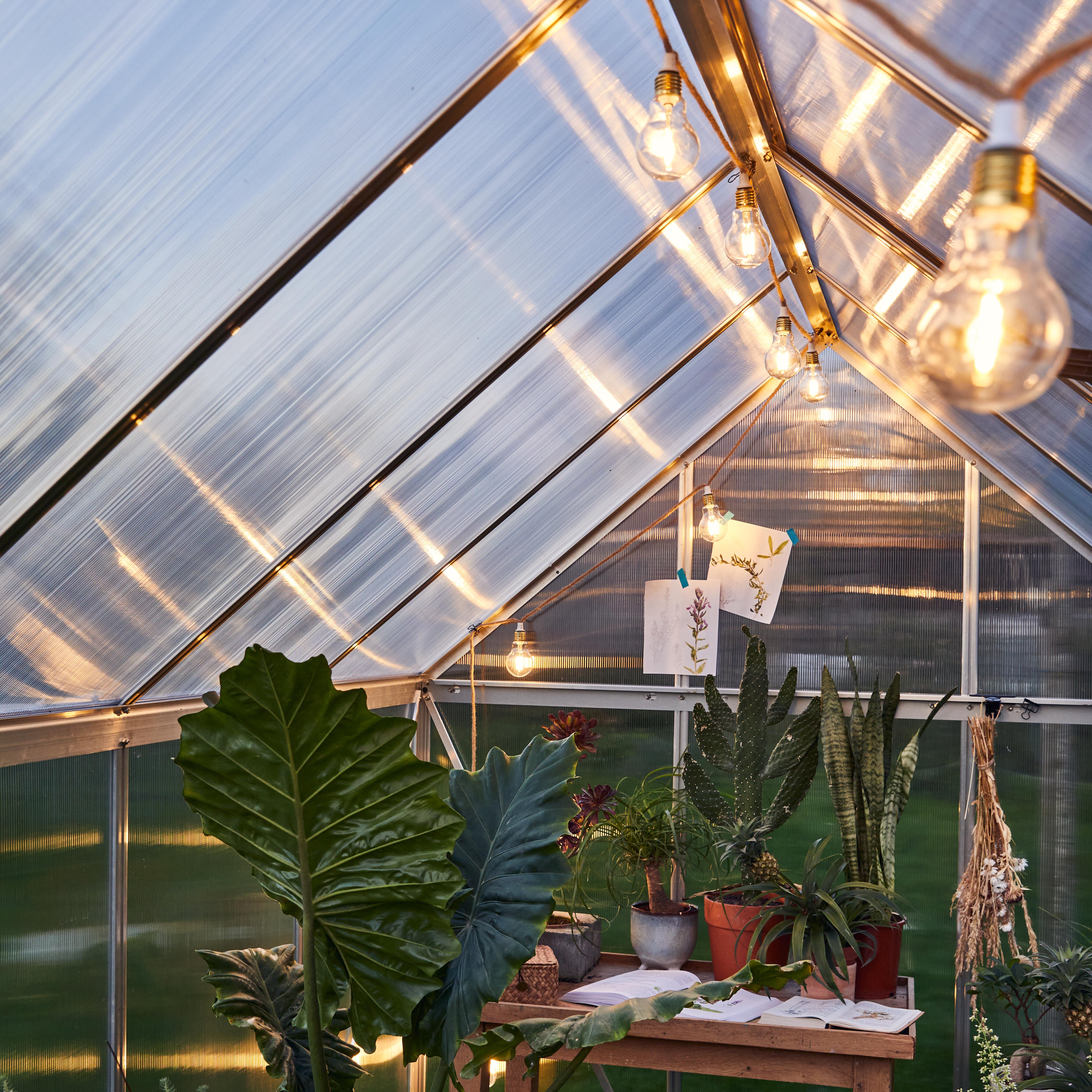 Serre fixe en polycarbonate double parois Mythos, 4.6 m² CANOPIA BY PALRAM - 6