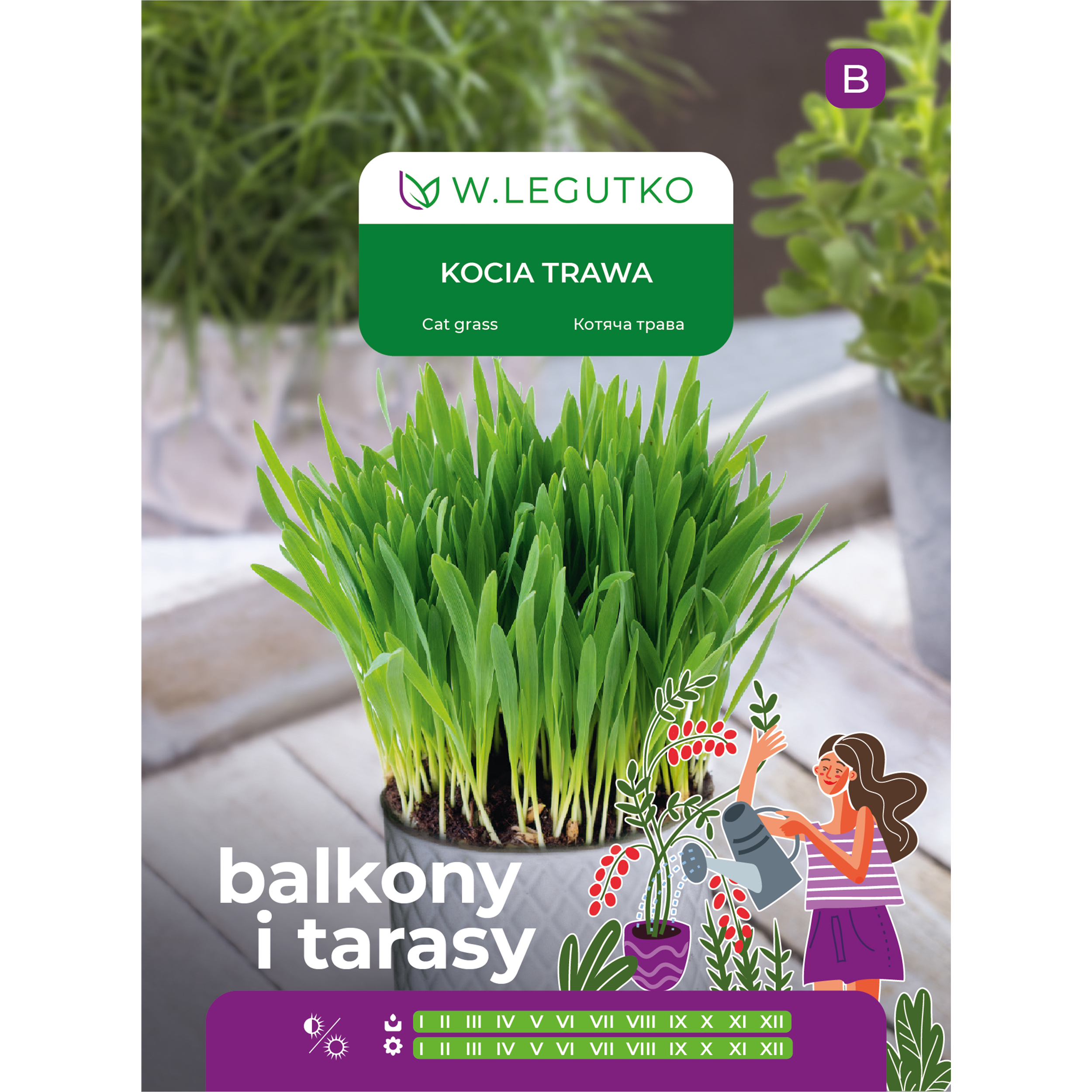 Kocia trawa nasiona 25g W. Legutko