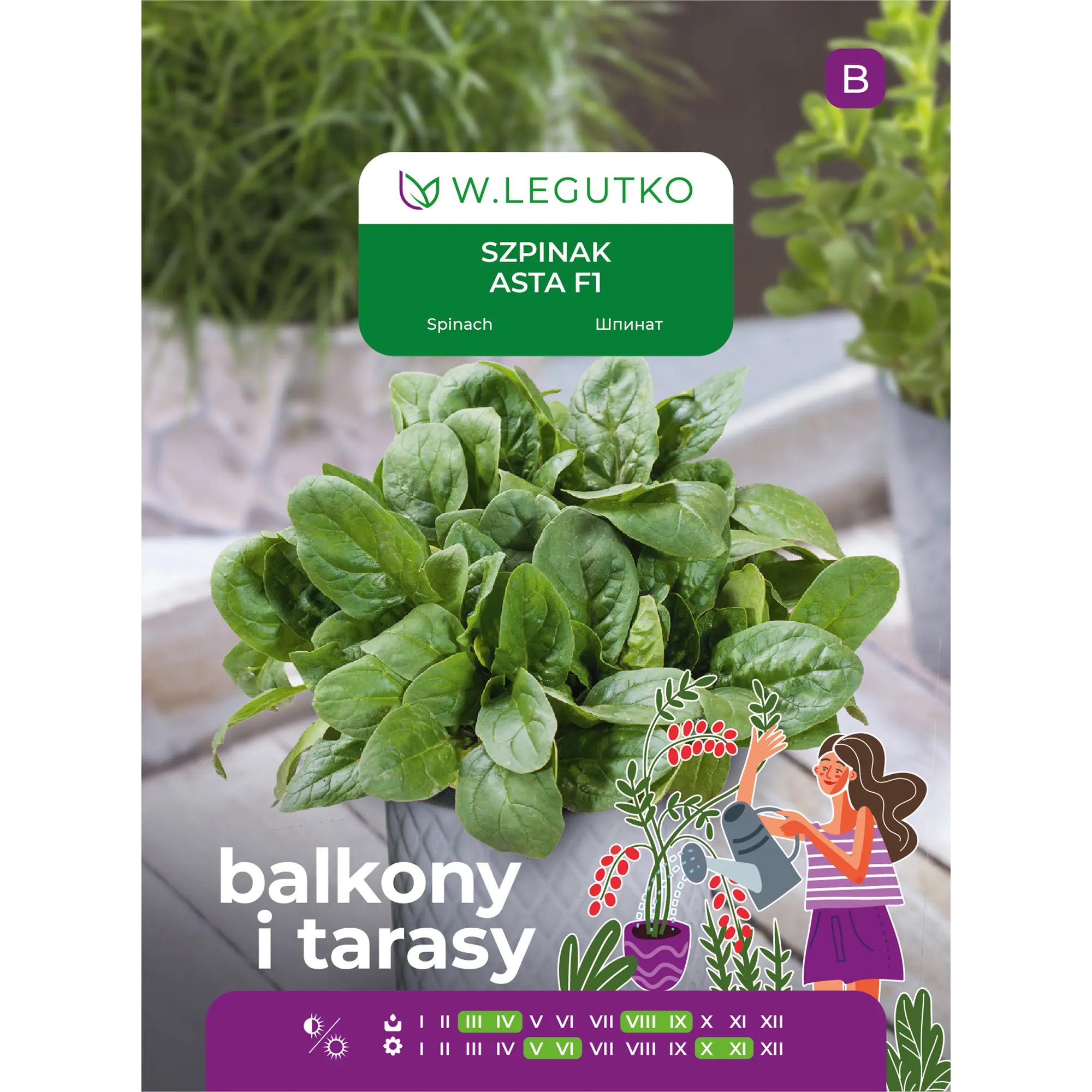 Szpinak Asta F1 nasiona 10g W. Legutko
