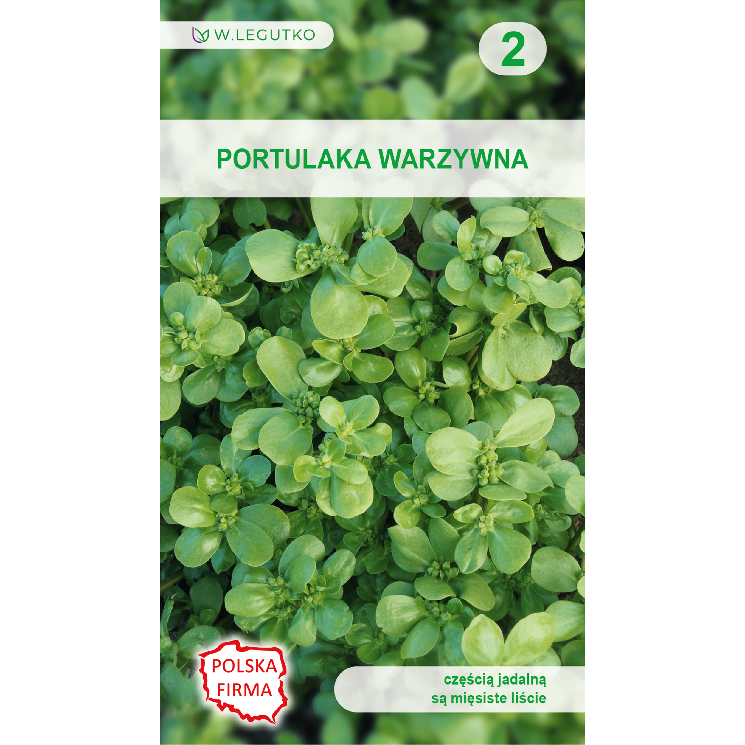 Portulaka warzywna zielona nasiona 0.5g W. Legutko