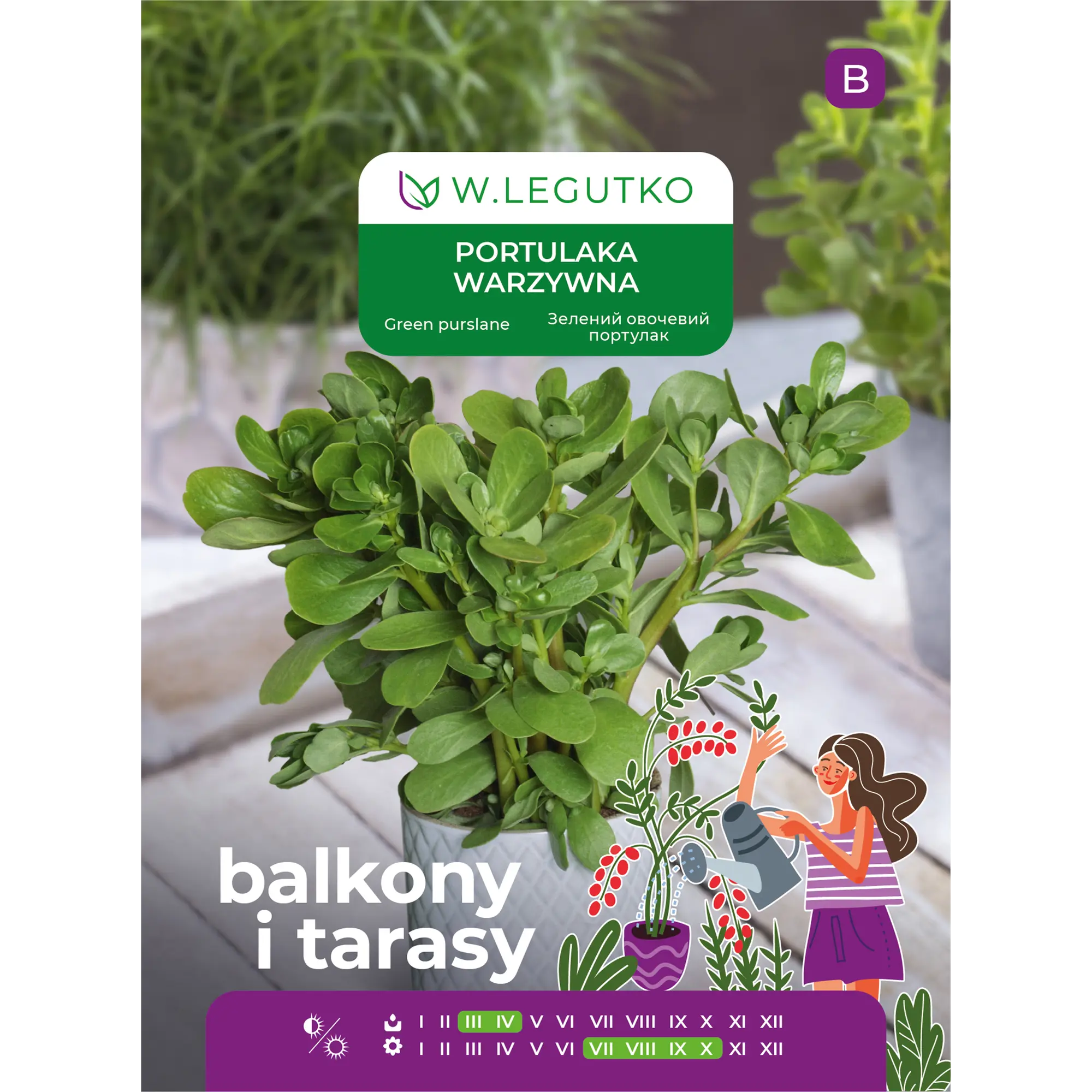Portulaka warzywna zielona nasiona 0.5g W. Legutko