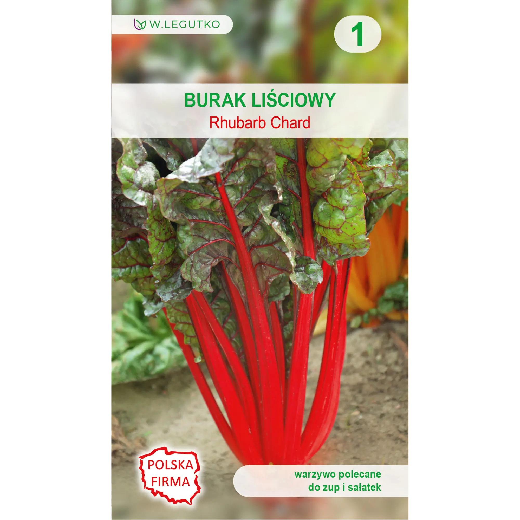 Burak liściowy Rhubarb Chard nasiona 5g W. Legutko