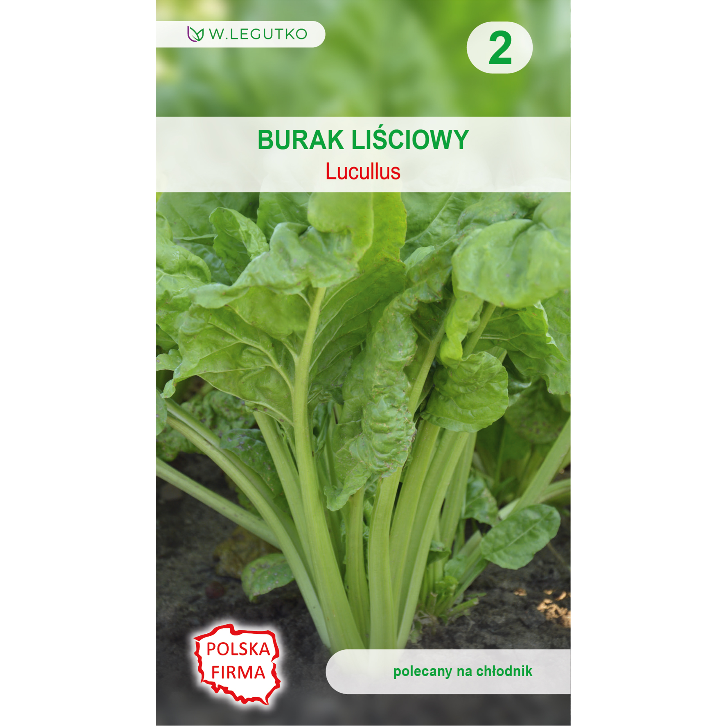 Burak liściowy Lucullus nasiona 5g W. Legutko