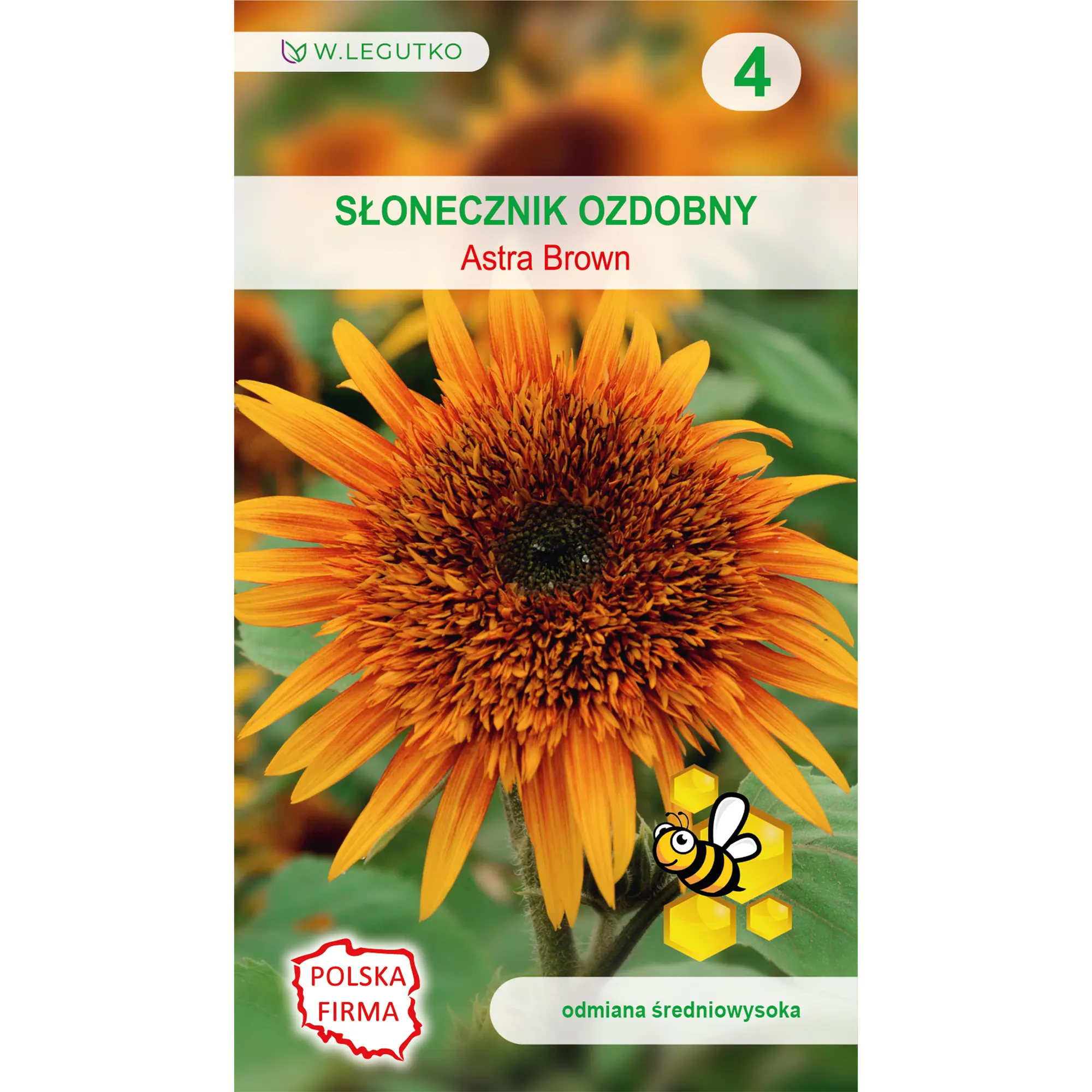 Słonecznik ozdobny Astra nasiona 1g W. Legutko