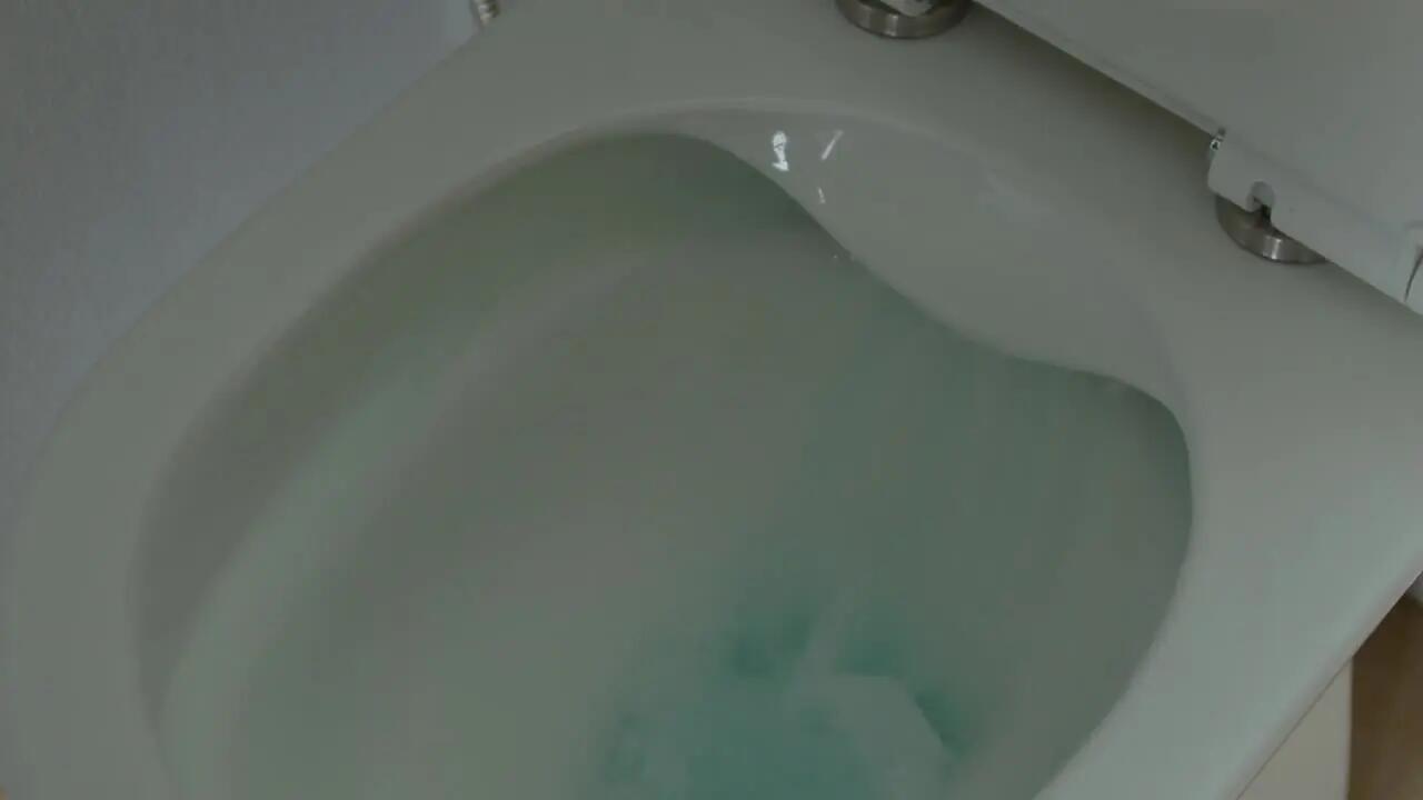 Vidéo présentation gamme WC Easy Sensea