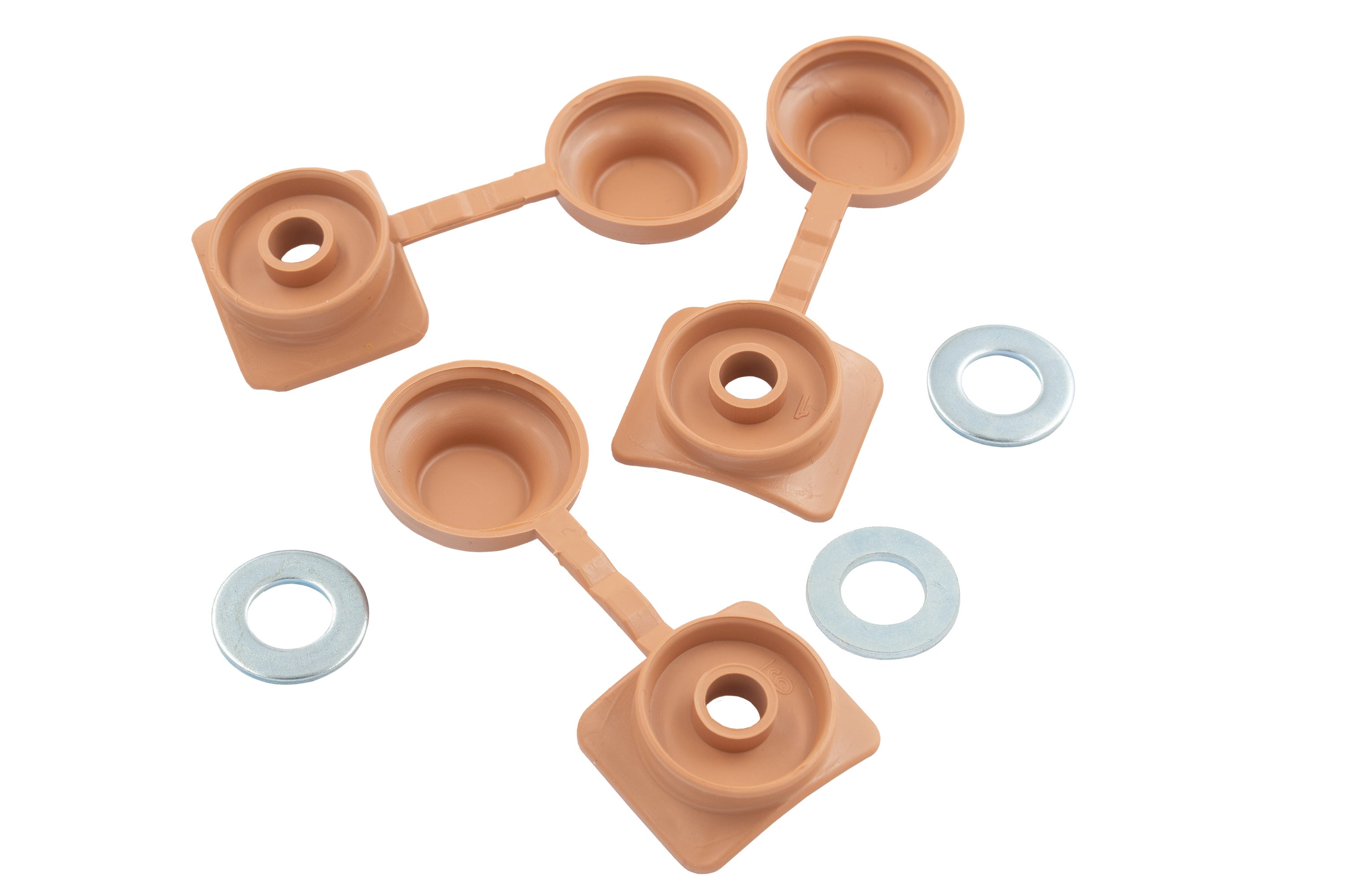 Fixation rose RENOLIT - 3