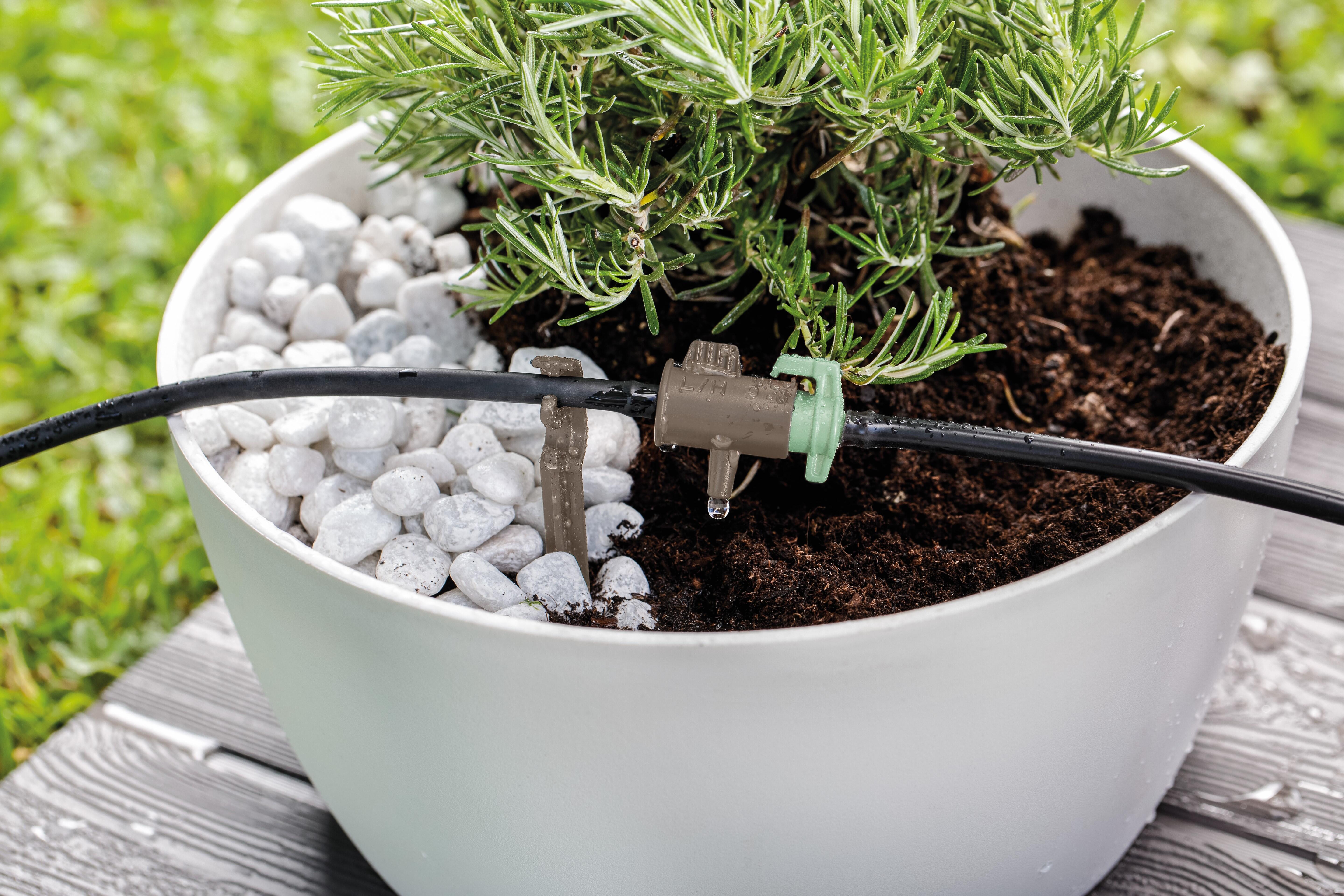 Kit goutte à goutte 20 pots | Leroy Merlin