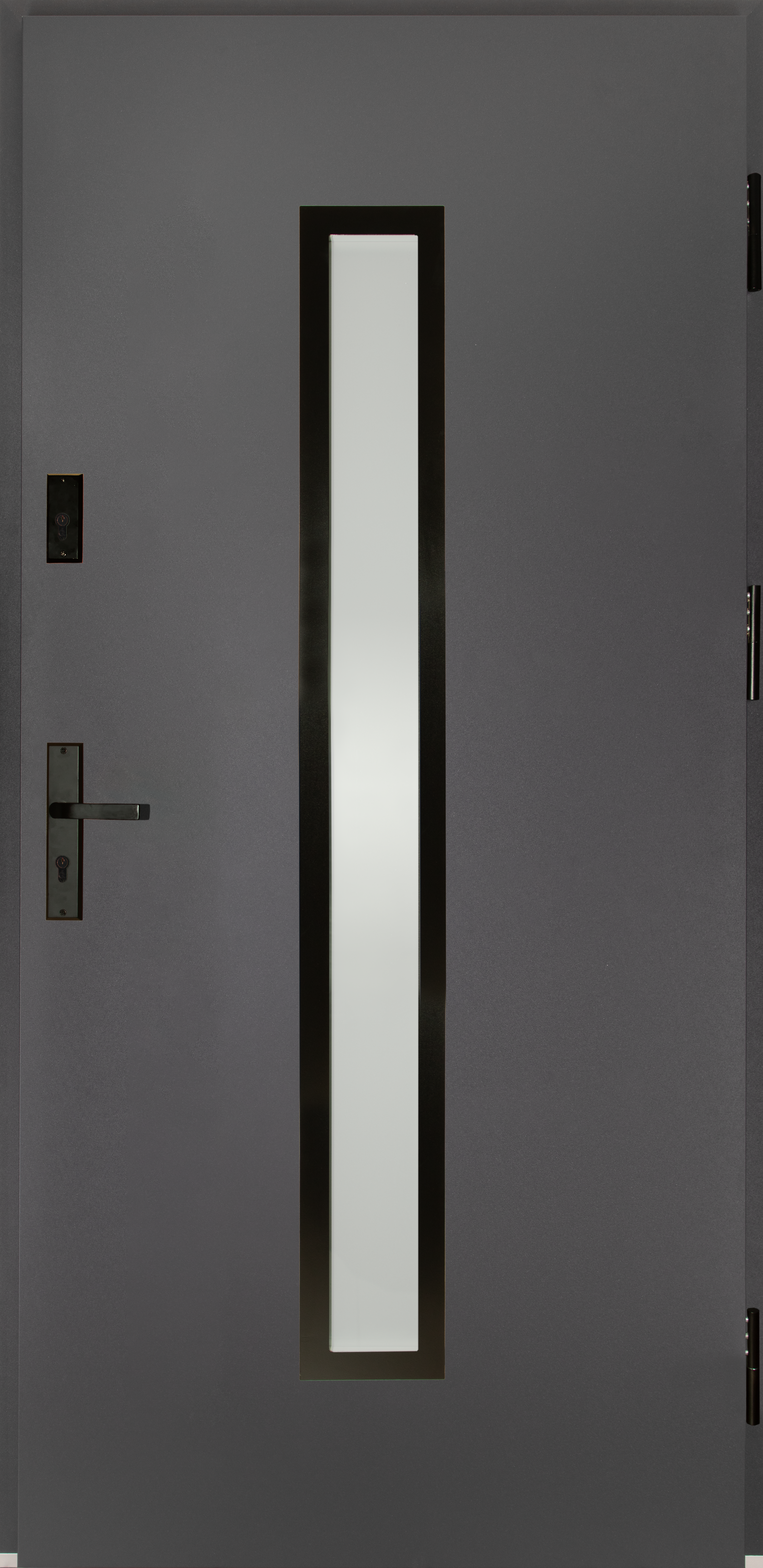 Drzwi zewnętrzne stalowe wejściowe Auria Passive antracytowe 90 prawe Splendoor