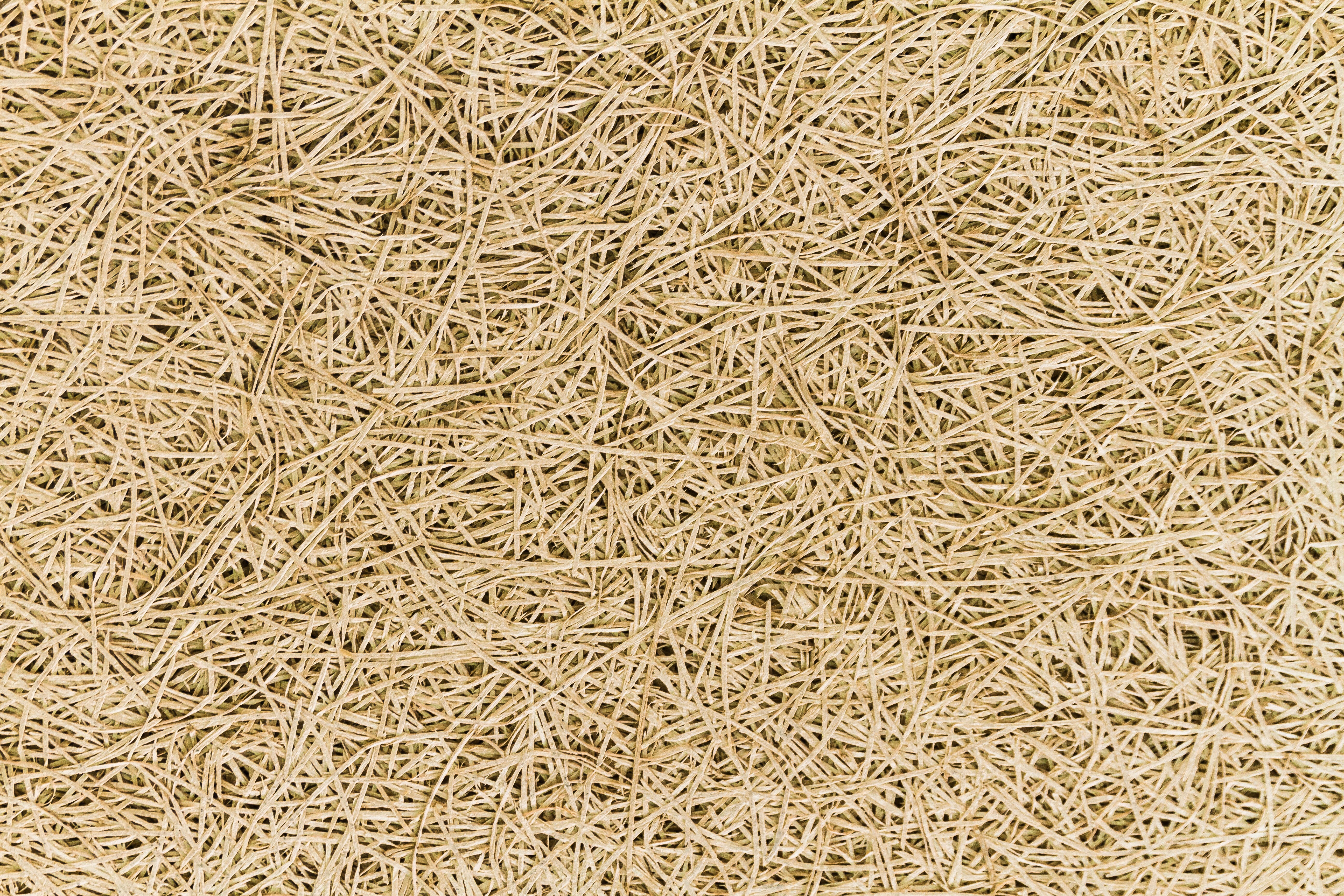 Placa de viruta de madera 59,3x59,3x1,5 cm - 9