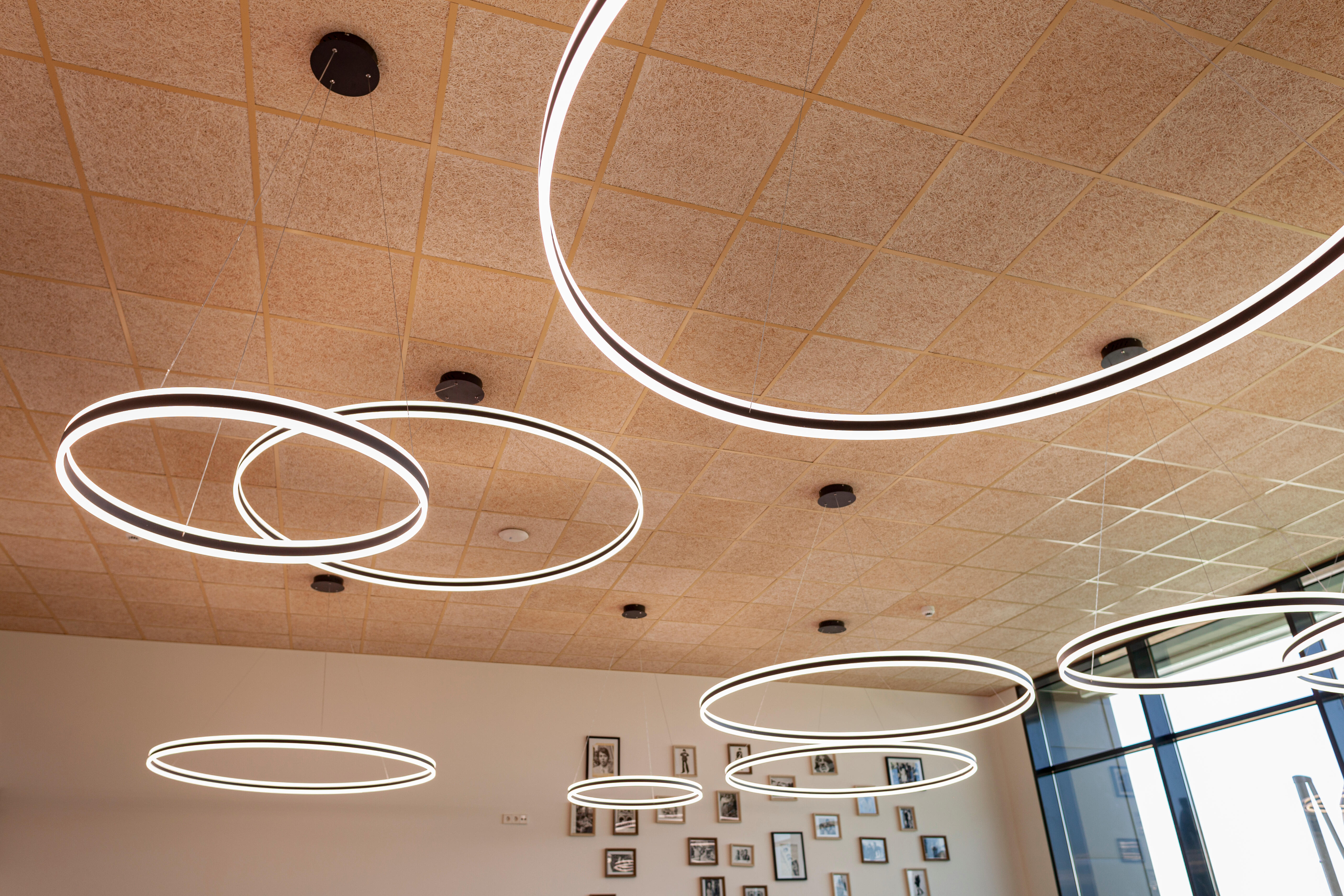 Placa de viruta de madera 59,3x59,3x1,5 cm - 3