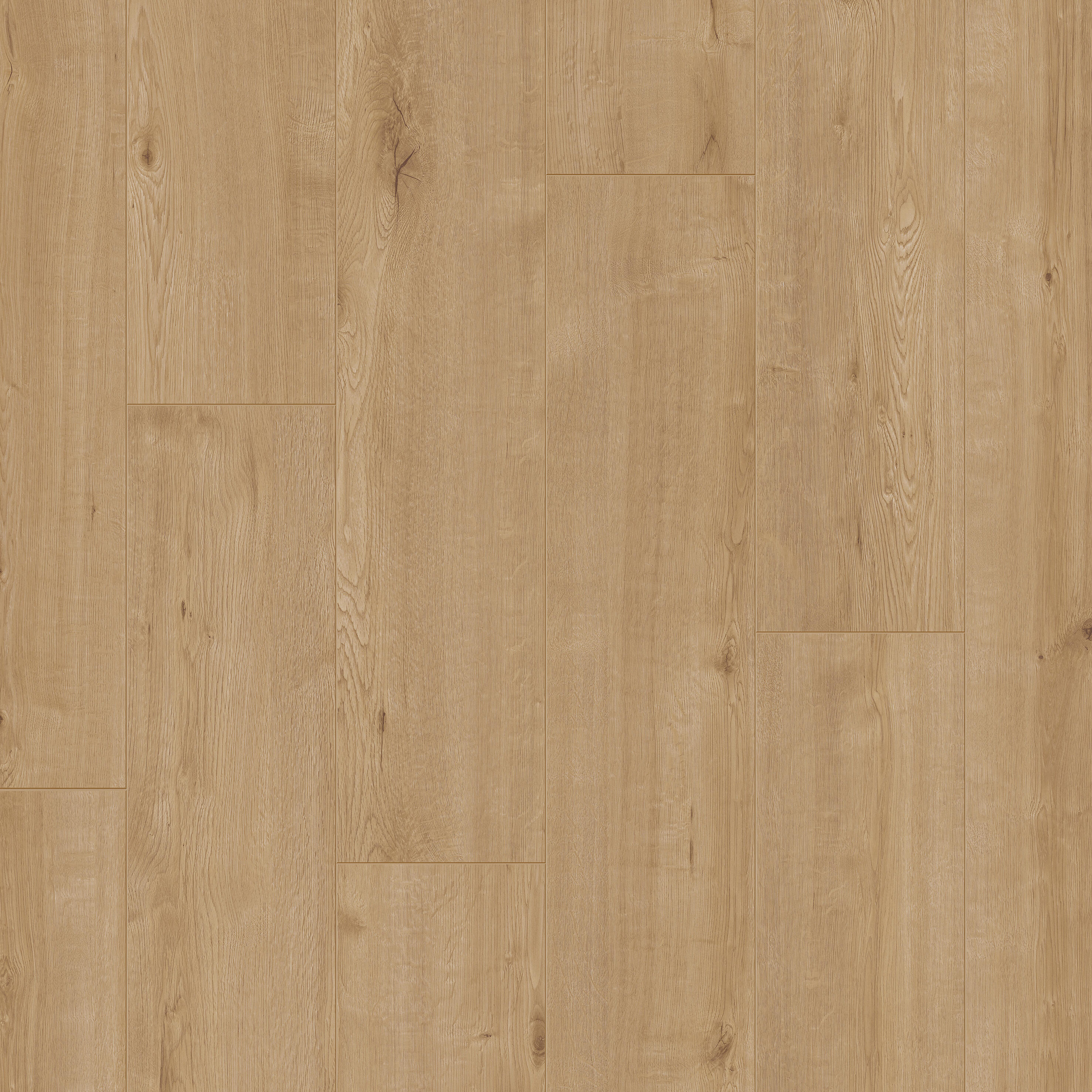 Sol stratifié Panache SENS BY QUICK-STEP avron, Ep.8 mm, résistant à l'eau - 3