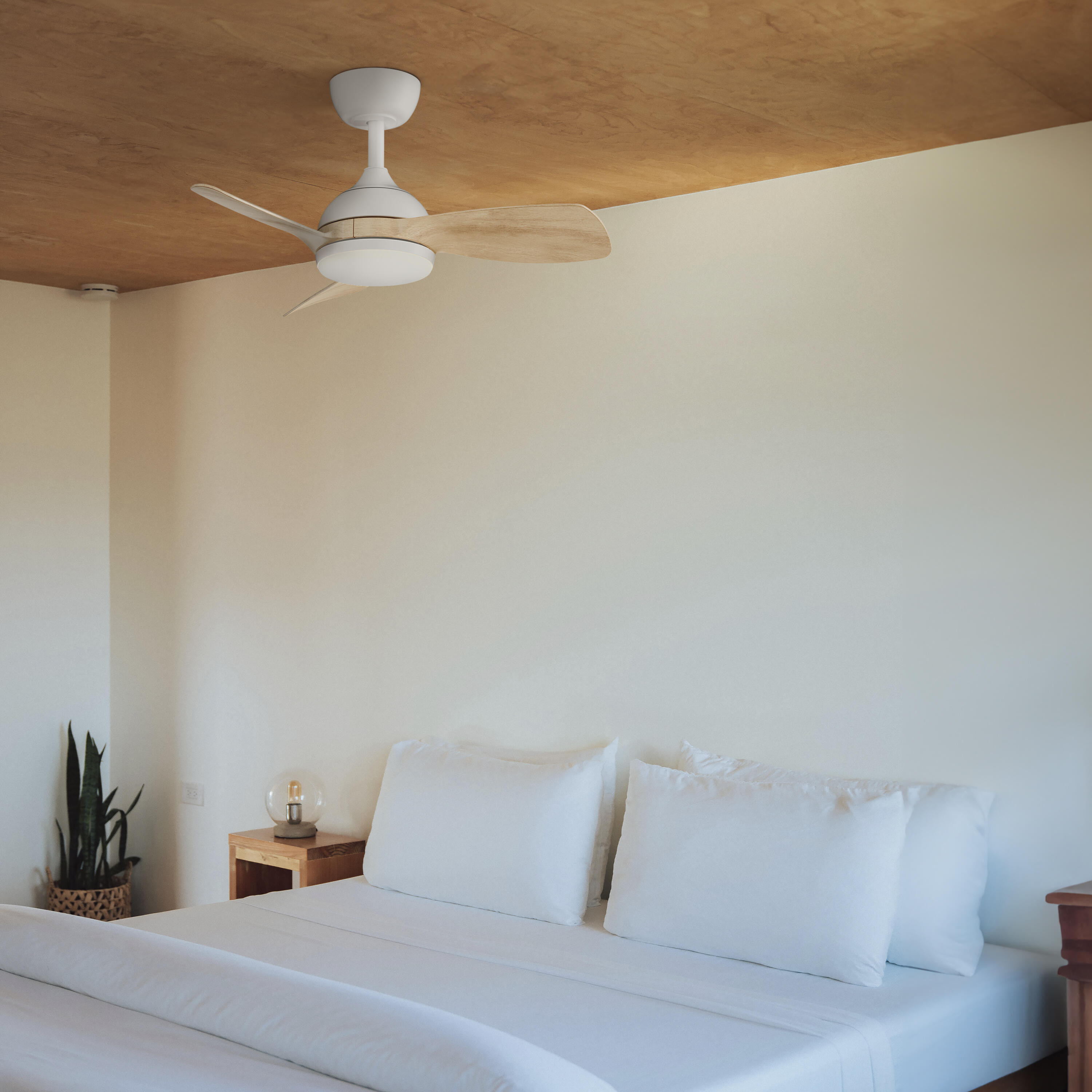 Ventilador de techo con luz silencioso DC Sulion Sunset Wifi blanco 75 cm - 13