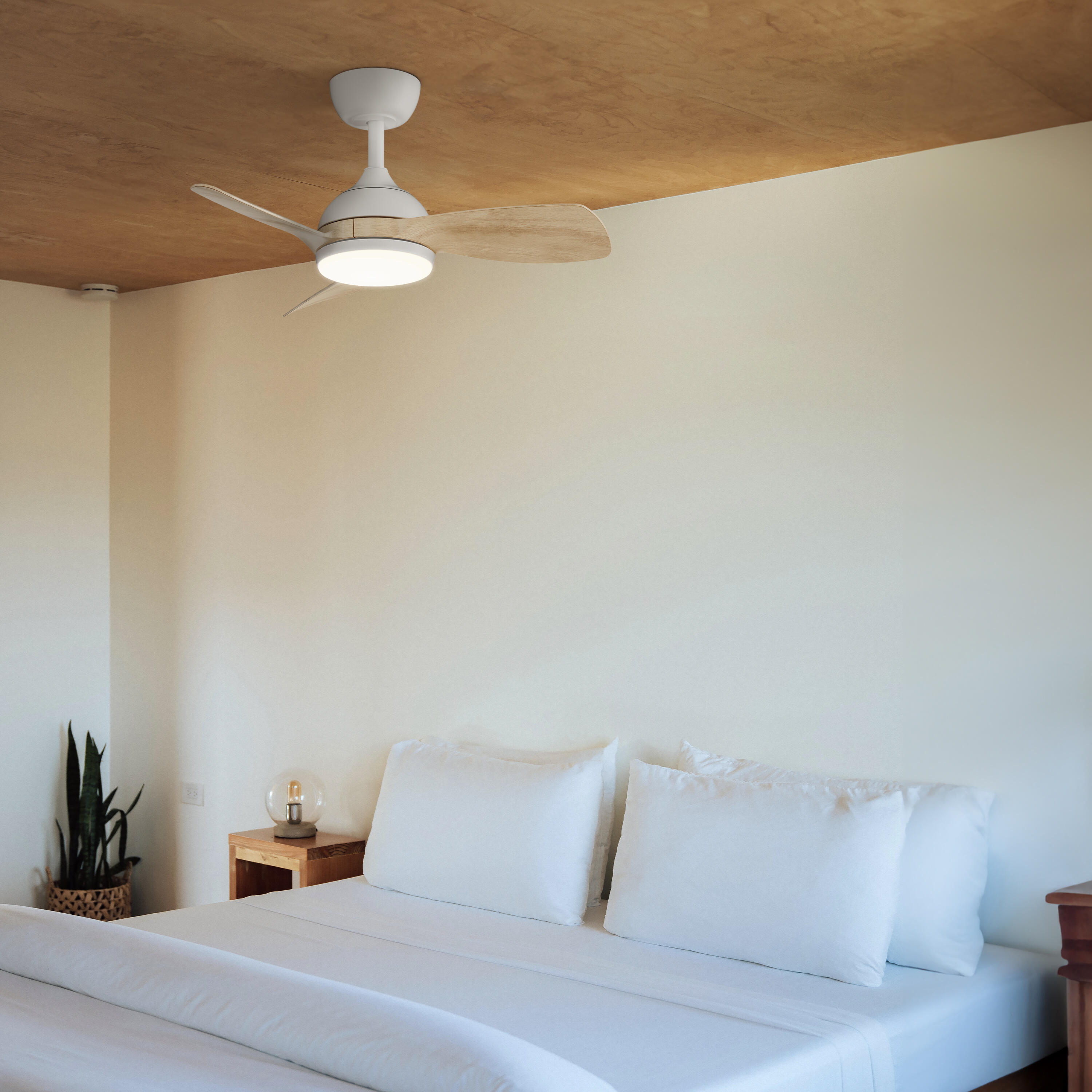 Ventilador de techo con luz silencioso DC 25W con mando ø75 cm Sunset SULION blanco luz CCT 3 aspas| 6 velocidades| modo verano/invierno| recomendado para <13m² - 3