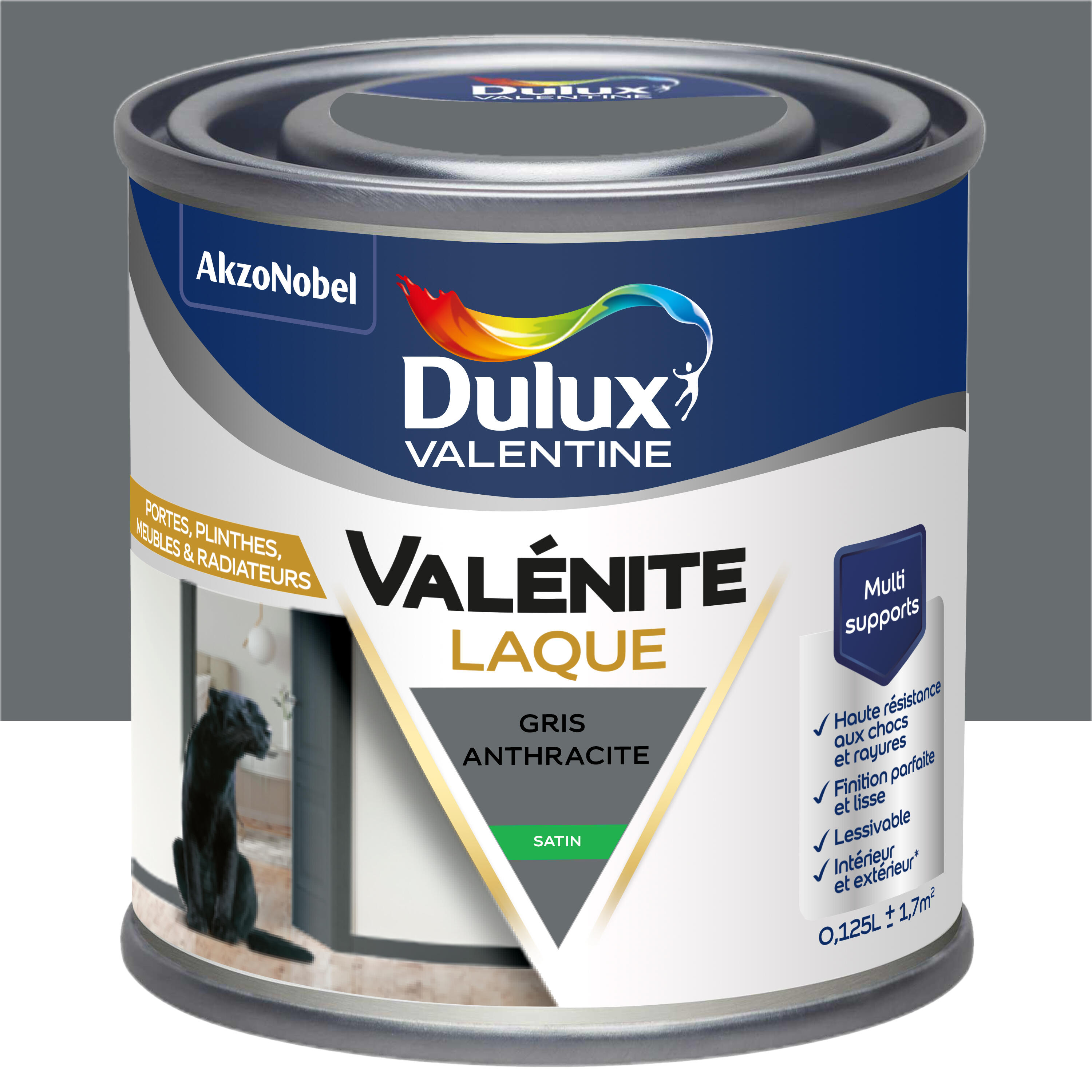 Peinture boiserie, radiateur fonte grise satin SIKKENS Laque intérieure 0.75L