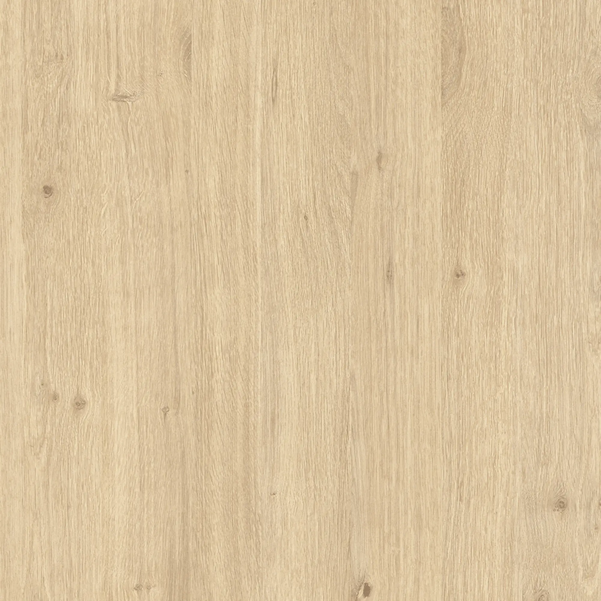 Płyta meblowa wiórowa laminowana Dąb Królewski 18 mm 207x280 cm 5,796 m2