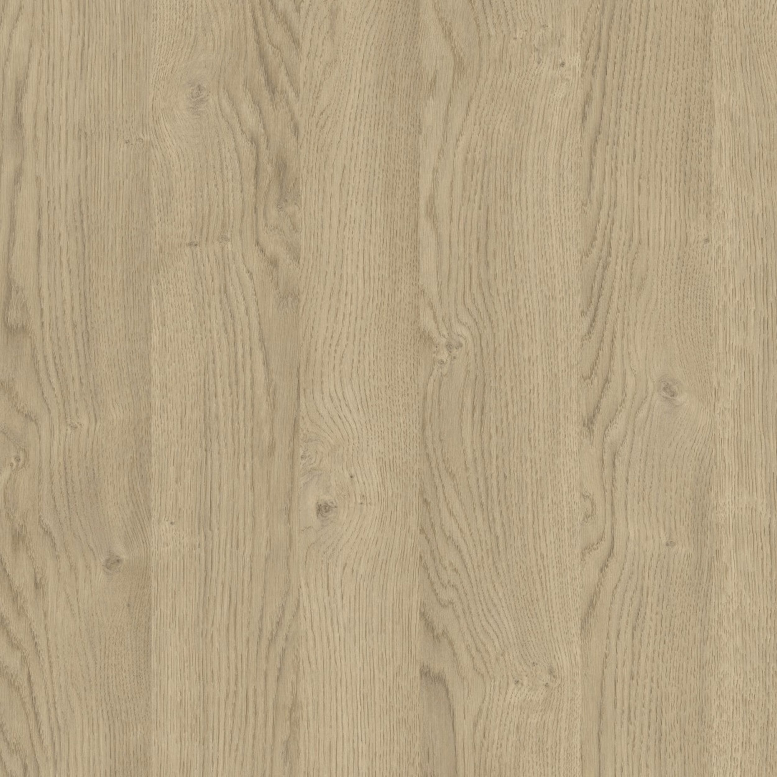 Płyta meblowa wiórowa laminowana Dąb Biszkopt 18 mm 207x280 cm 5,796 m2