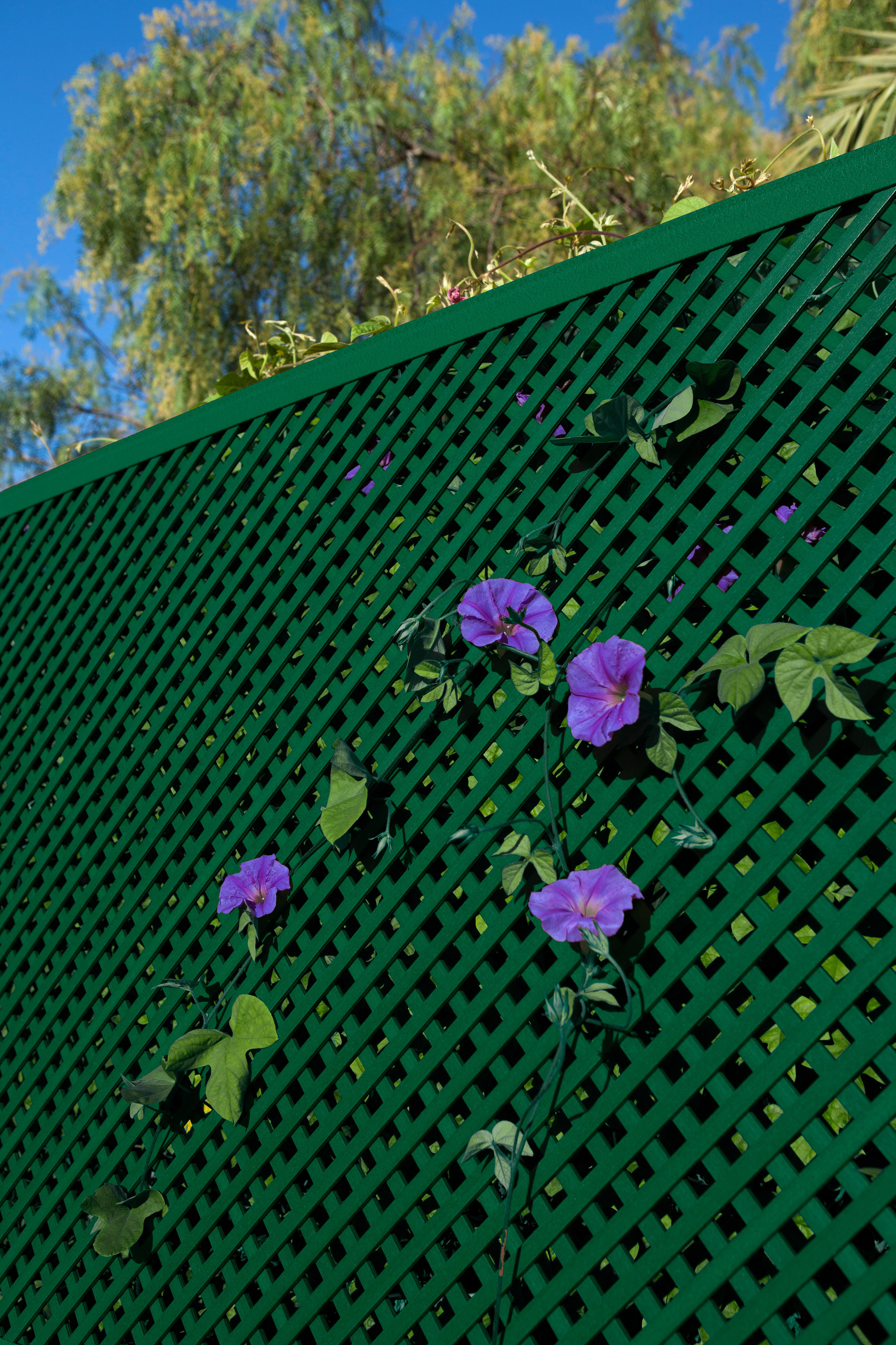 Painel decorativo fixo compósito de resina e madeira 100x200cm verde - 3