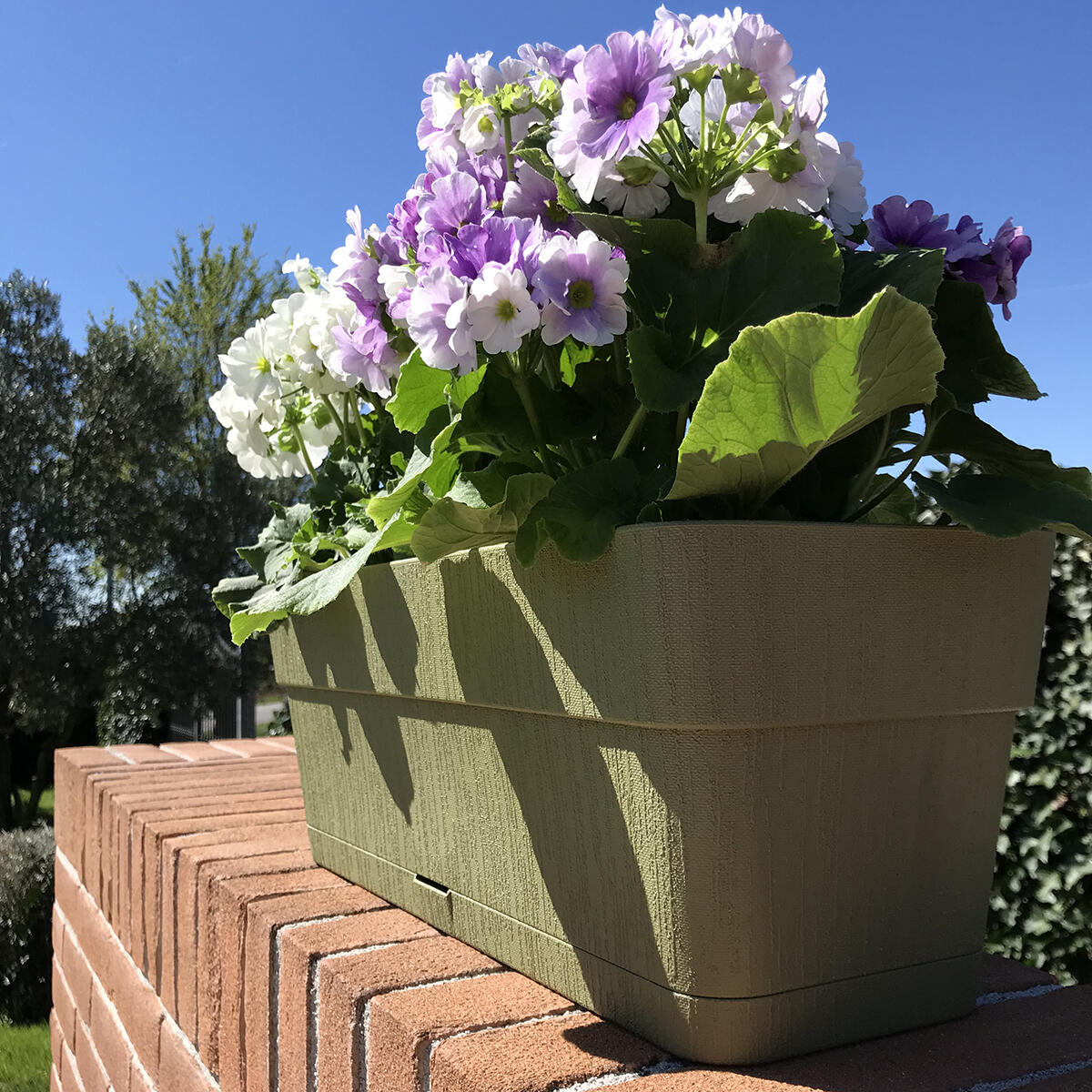 Vaso e sottovaso Ethica STEFANPLAST in polipropilene verde H 17 x L 50 x P 18 cm - 3