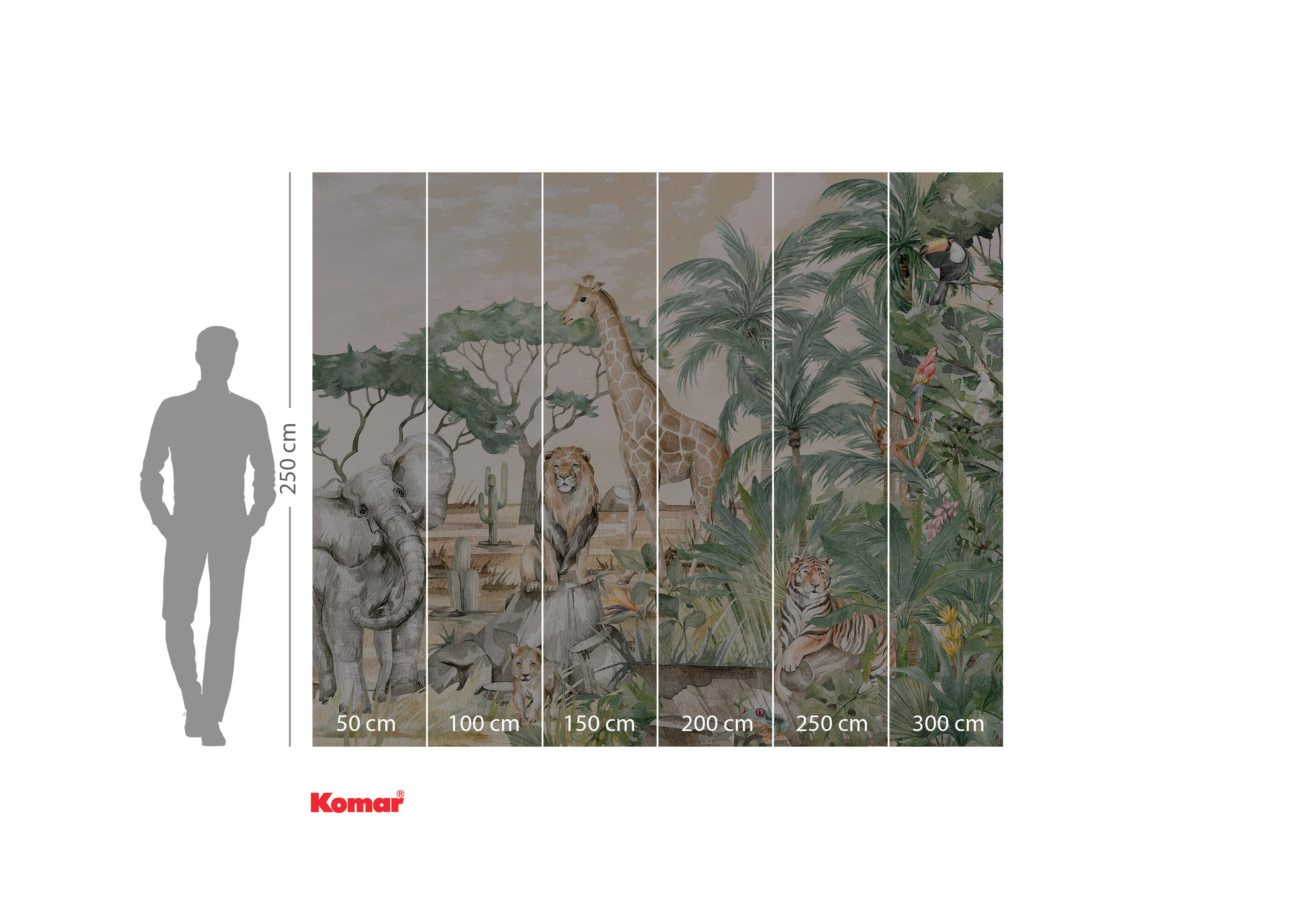 Papier peint panoramique Animaux Fauna multicouleur, l.300 x H.250 cm - 5