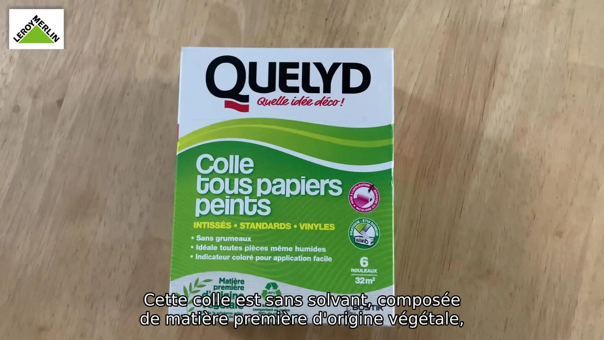 Colle en pâte tous types de papiers peints QUELYD, 1kg - 3