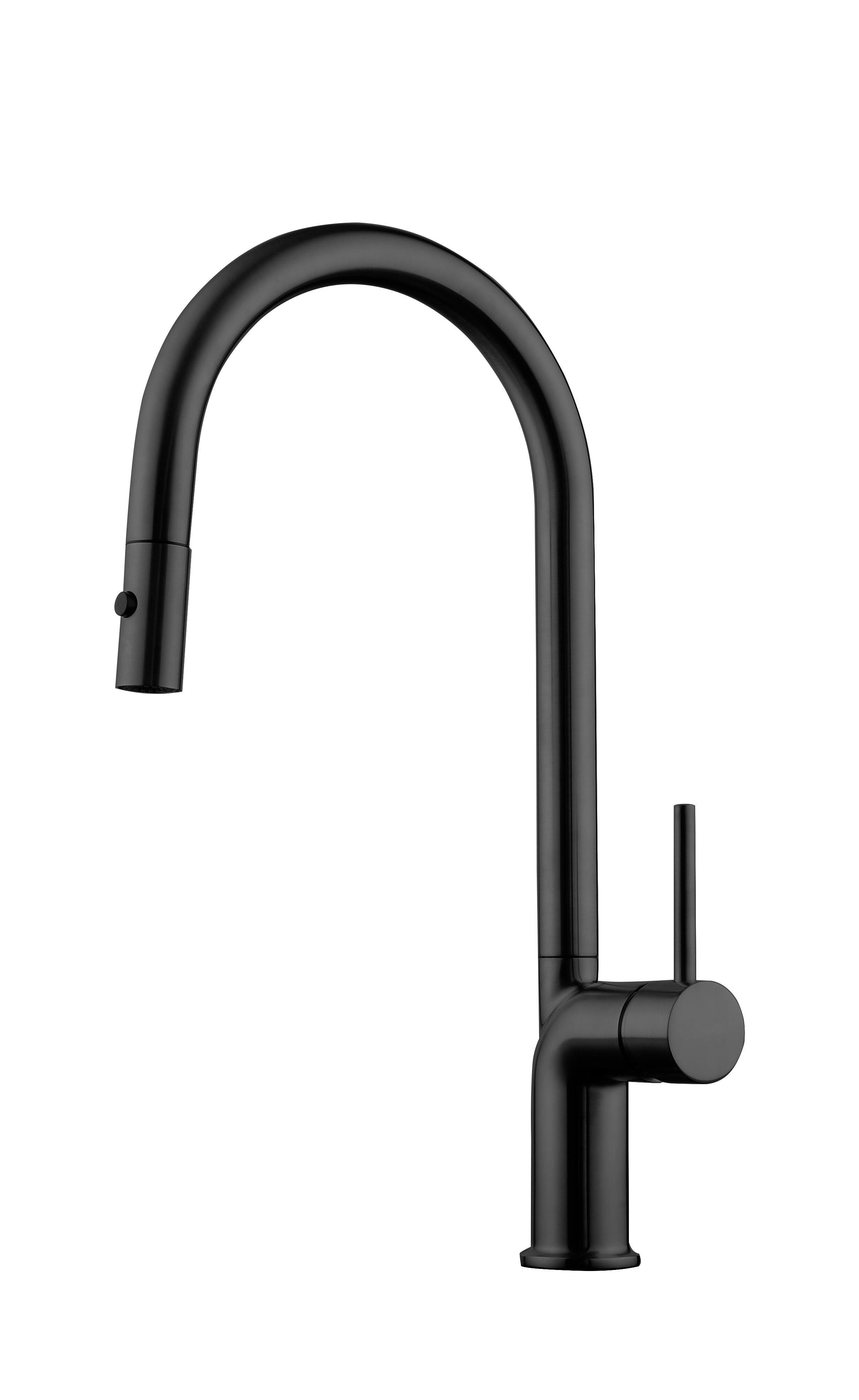 Grifo de cocina con ducha extraíble de 2 funciones maier look negro mate