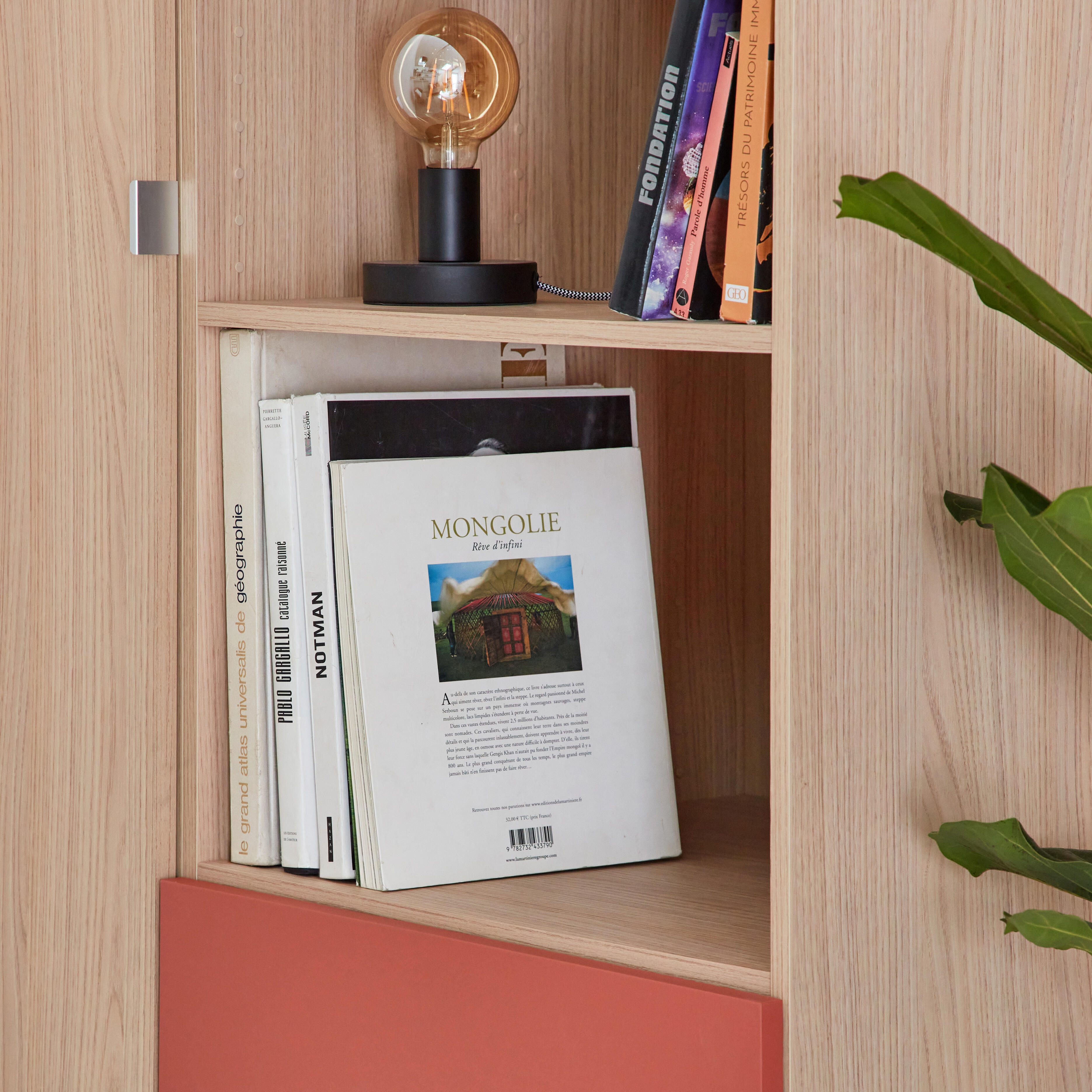 Lot de 2 étagères SPACEO Evo'M effet chêne pour caisson L.60 x P.54 cm - 2