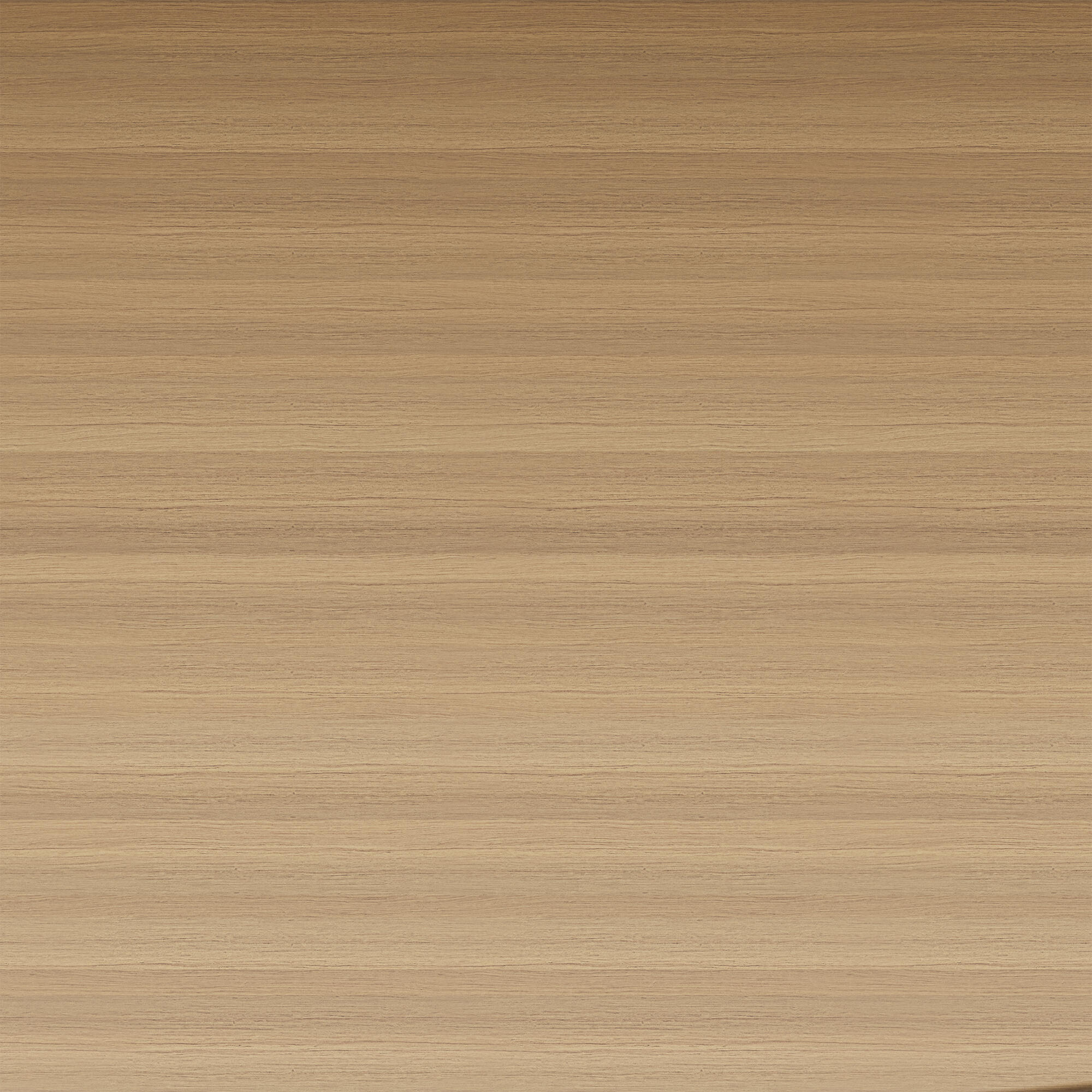 Ventilador de techo con luz silencioso DC Arte Confort Conil blanco 122 cm - 15