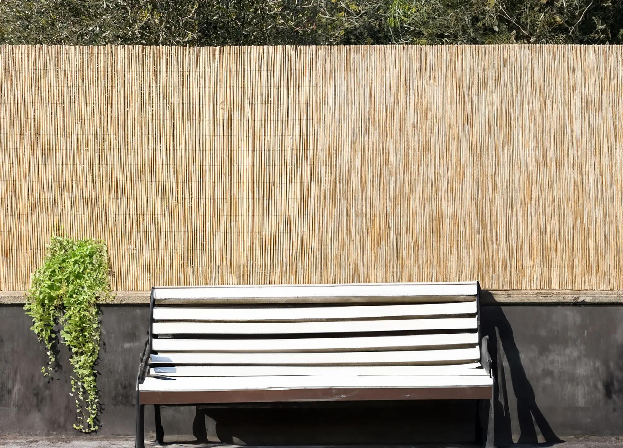 Arella bambù 4F GROUP CANNICCIO ARELLA BIG 150X300 CM L 3 x H 1.5 m - 2