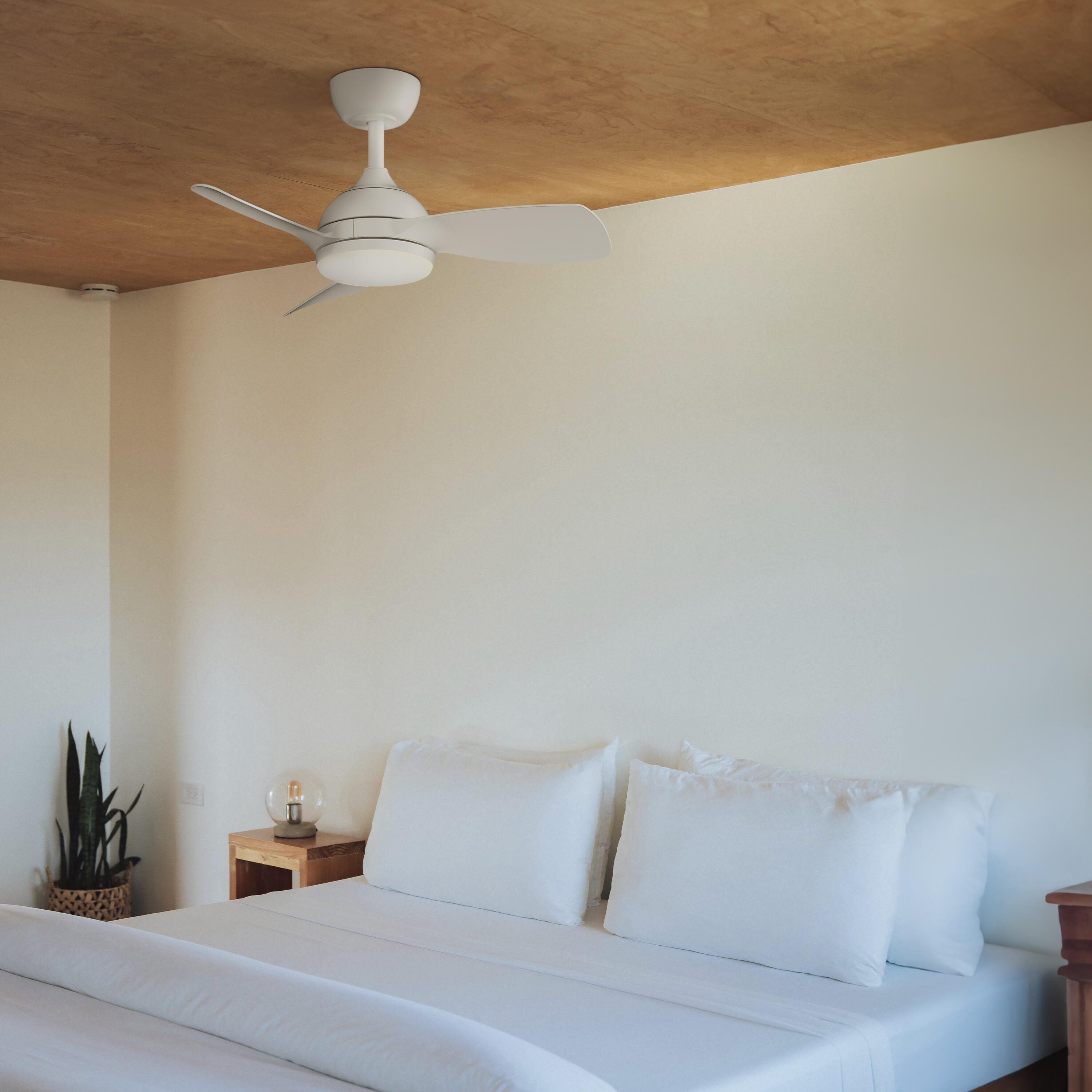 Ventilador de techo con luz silencioso DC Sulion Sunset Wifi blanco 75 cm - 12