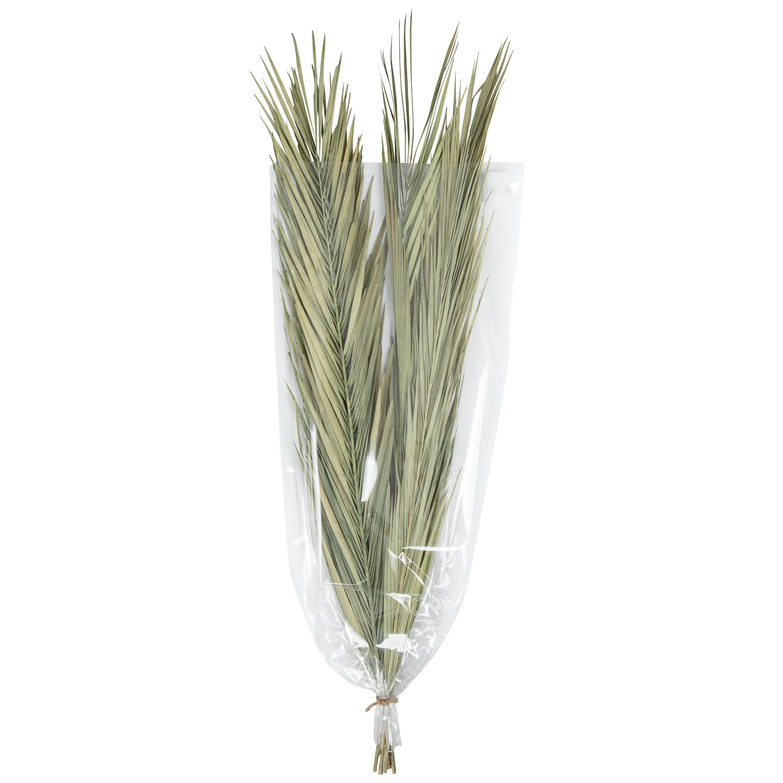 Kit Pastiglie Freni Posteriori Con Segnalatore Usura | Low-Metallic ECE-R90