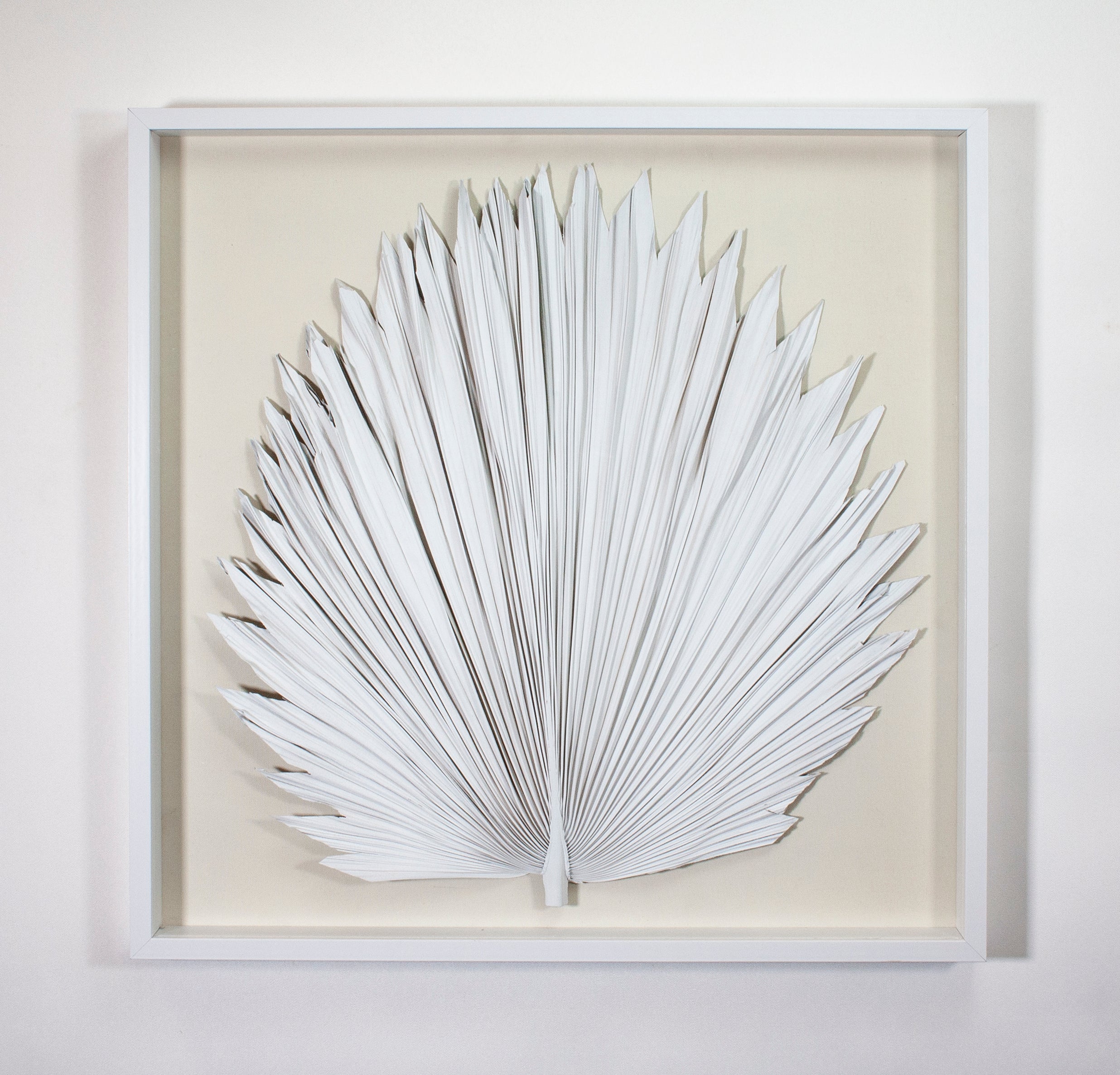 Cadre plumes de paon | Plume de paon, Plume decoraton, Tableau plumes