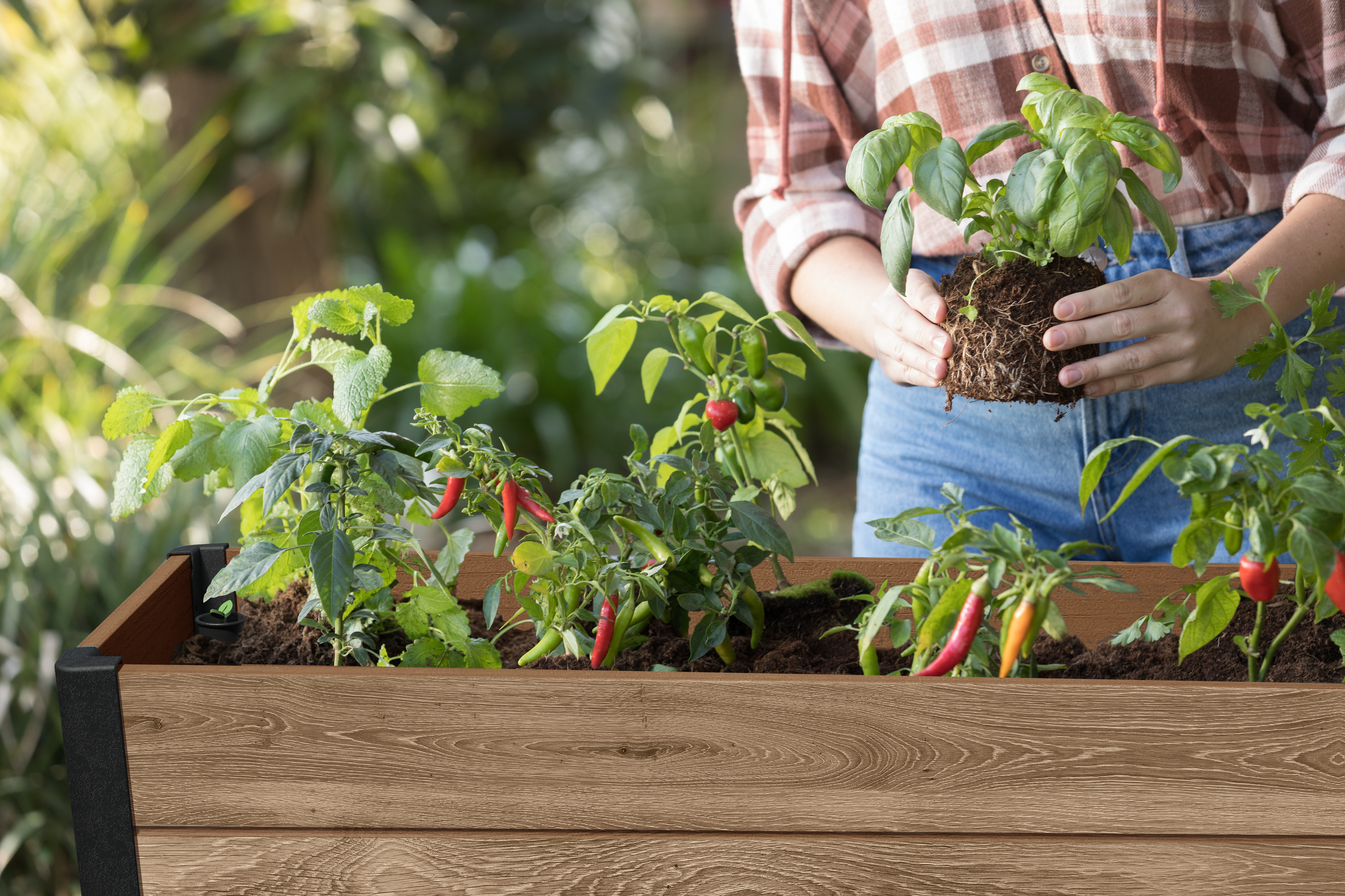 Orto rialzato in polipropilene Darwin garden bed KETER marrone H 79.5 cm - 4