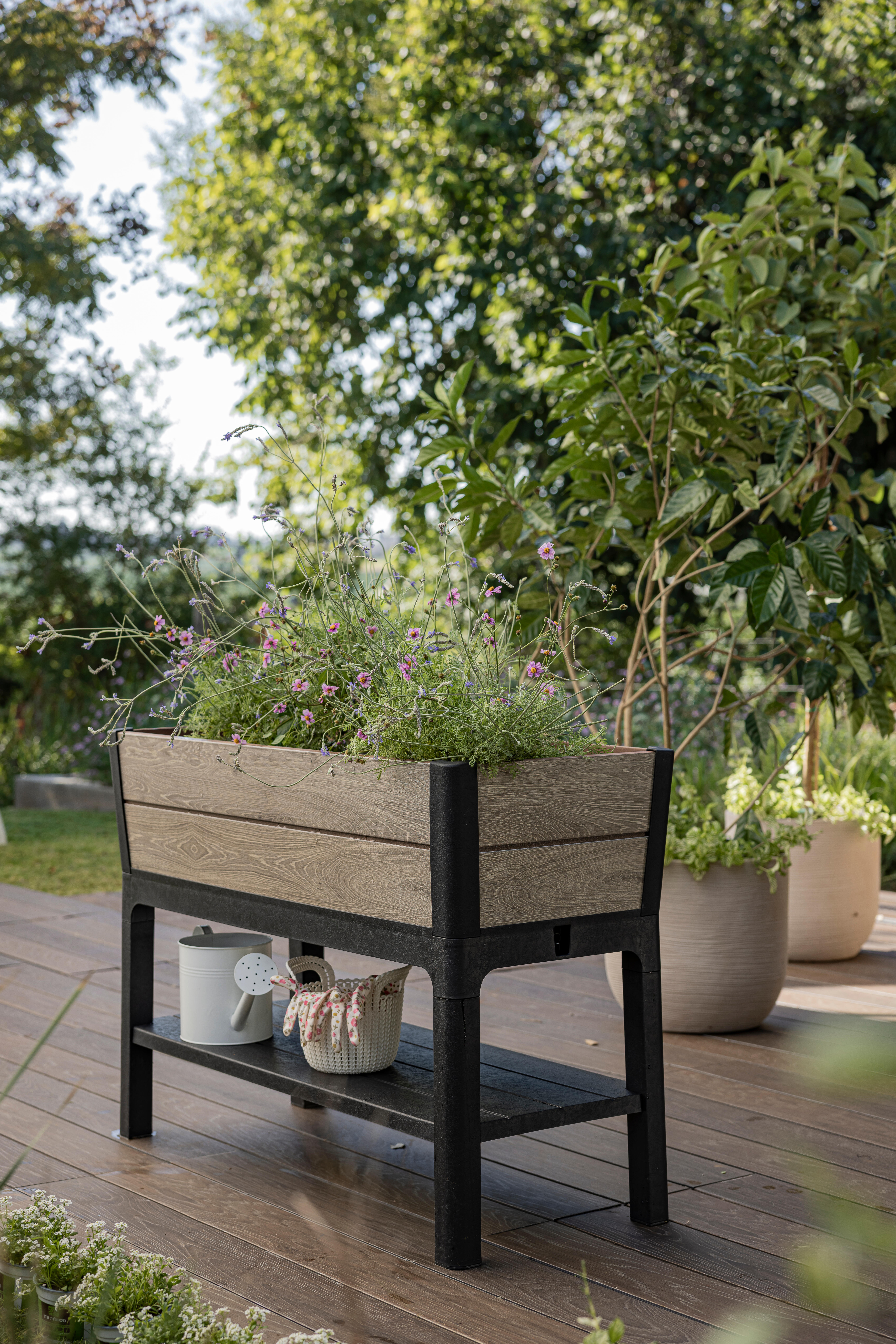 Orto rialzato in polipropilene Darwin garden bed KETER marrone H 79.5 cm - 2