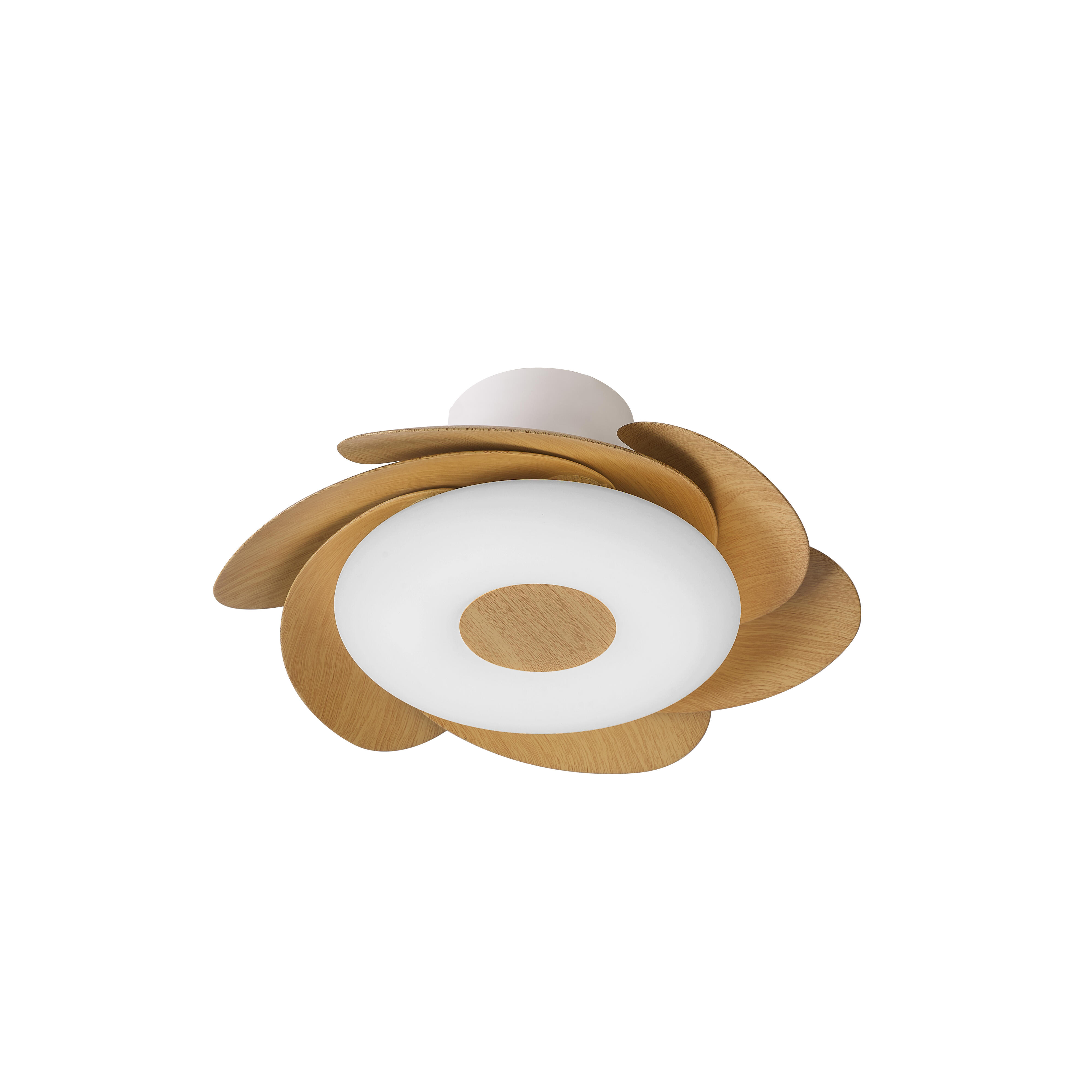 Ventilador de techo con luz silencioso DC 24W con mando ø79 cm Flower MANTRA marrón y blanco luz CCT 6 aspas retráctiles tipo lámpara| 6 velocidades| modo verano/invierno| brisa| recomendado para <13m² - 3