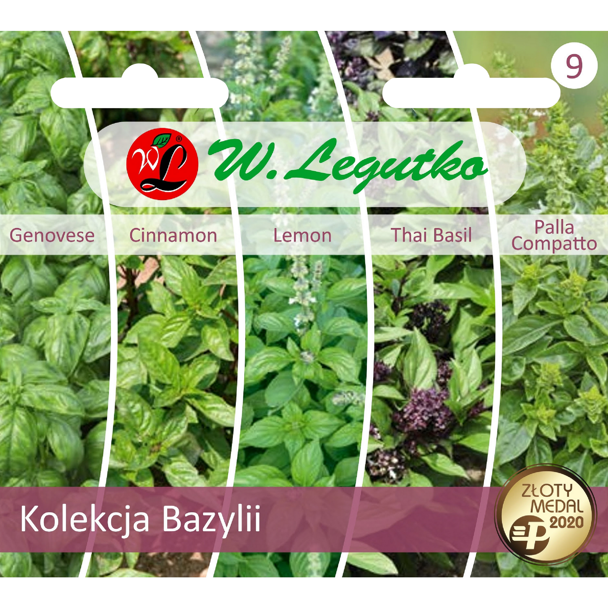 Bazylia kolekcja nasiona tradycyjne W.Legutko