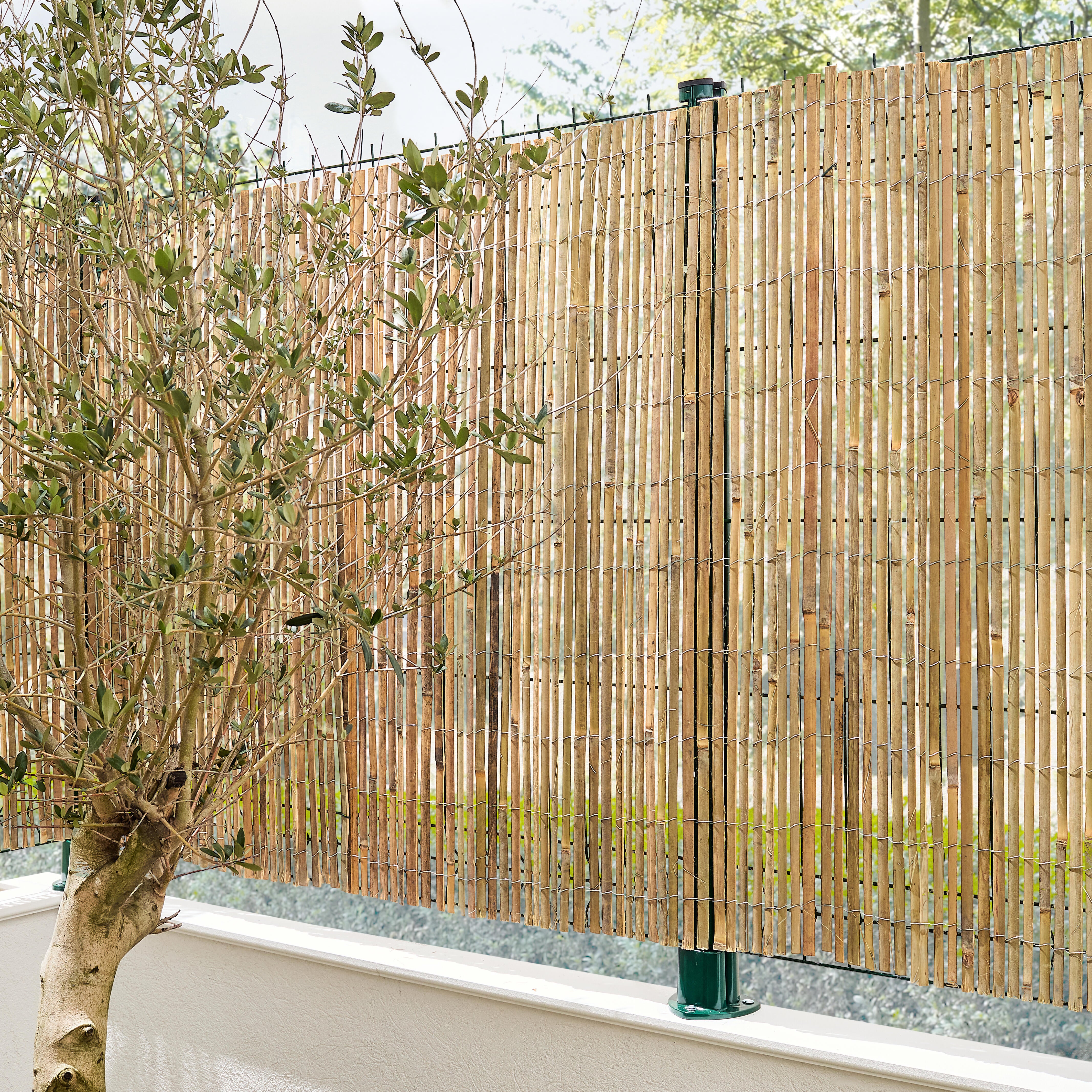 Canisse bambou fendu, occultation légère, Idéal Garden H.1 x L.3 m - 3
