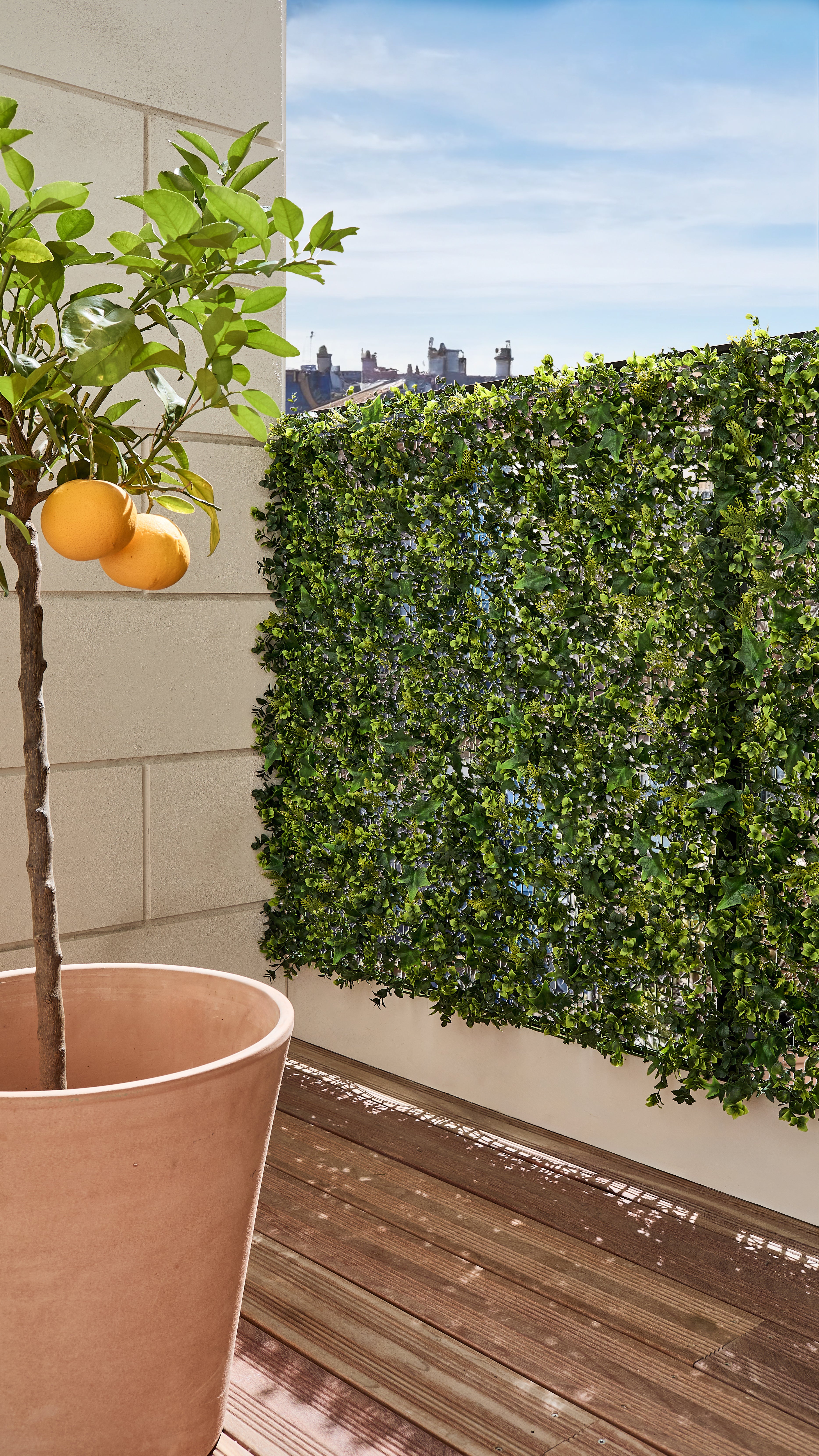 Mur végétal artificiel lierre, H.1 x L.1 m, FRANCE GREEN - 2