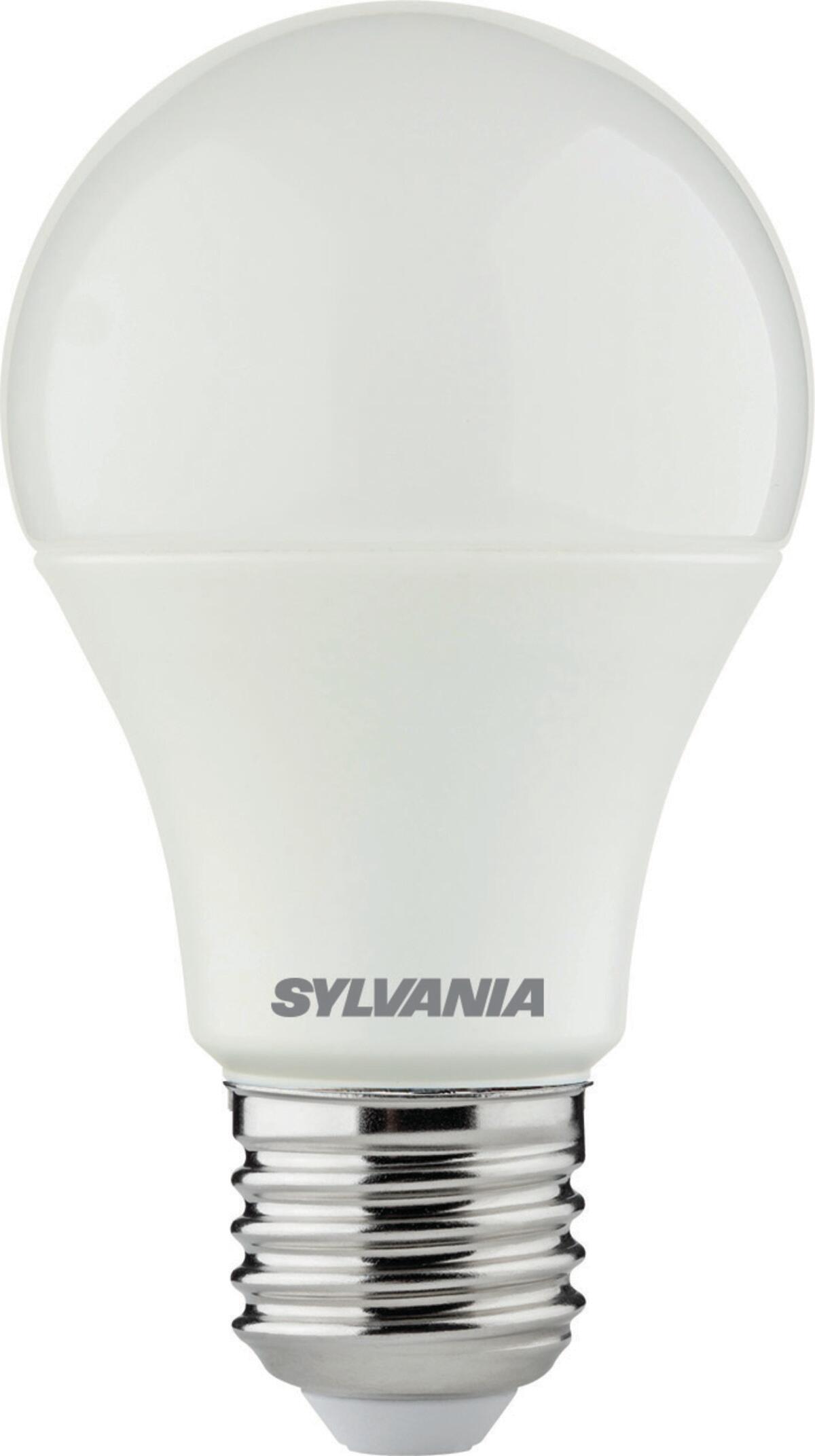 12 Lâmpadas Flash Bulbs Photoflash Sylvania Ag1b Antigo | Parcelamento