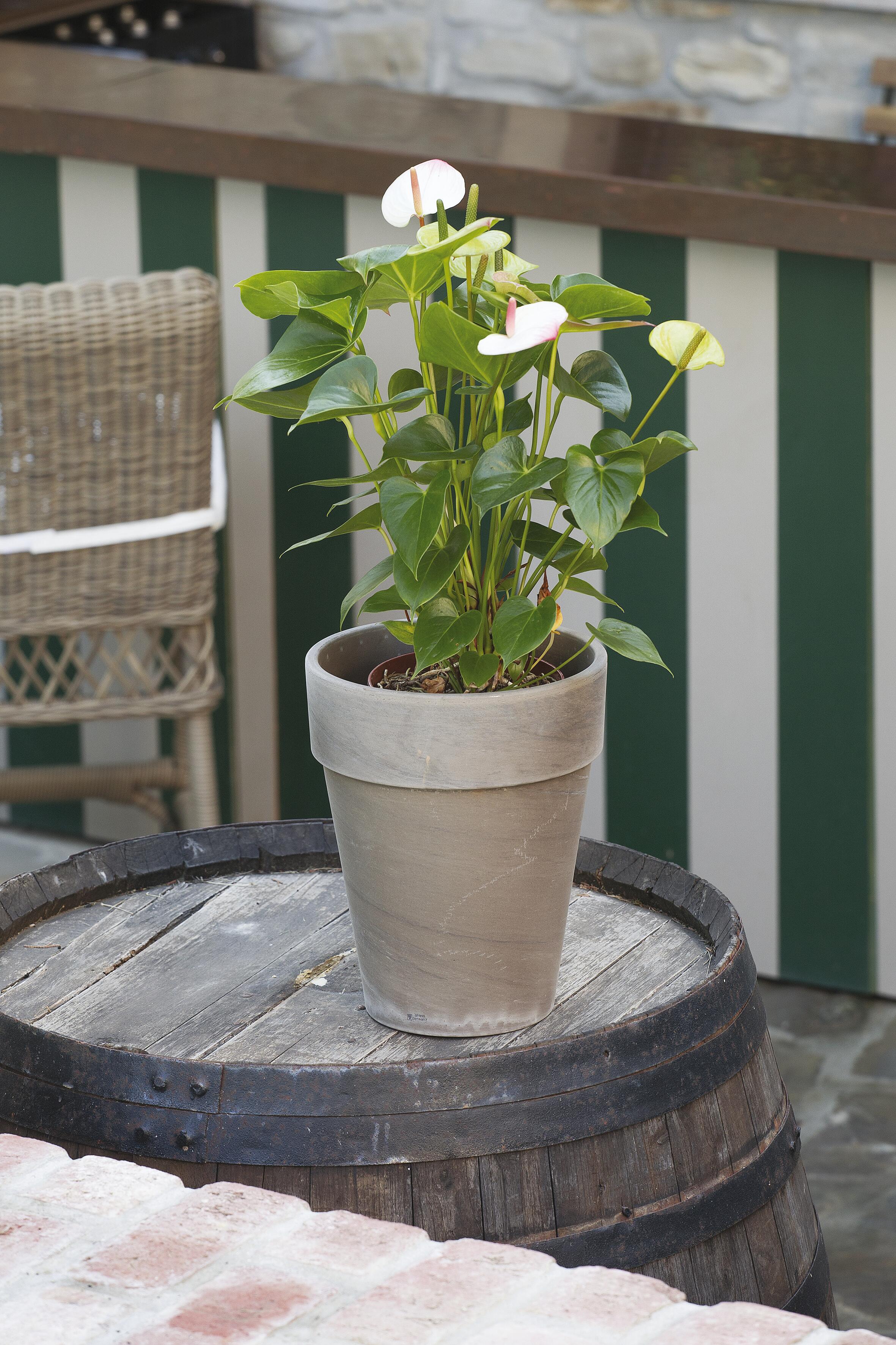 Vaso Basalt CERMAX in terracotta marrone H 20 x ø 17 cm - 2