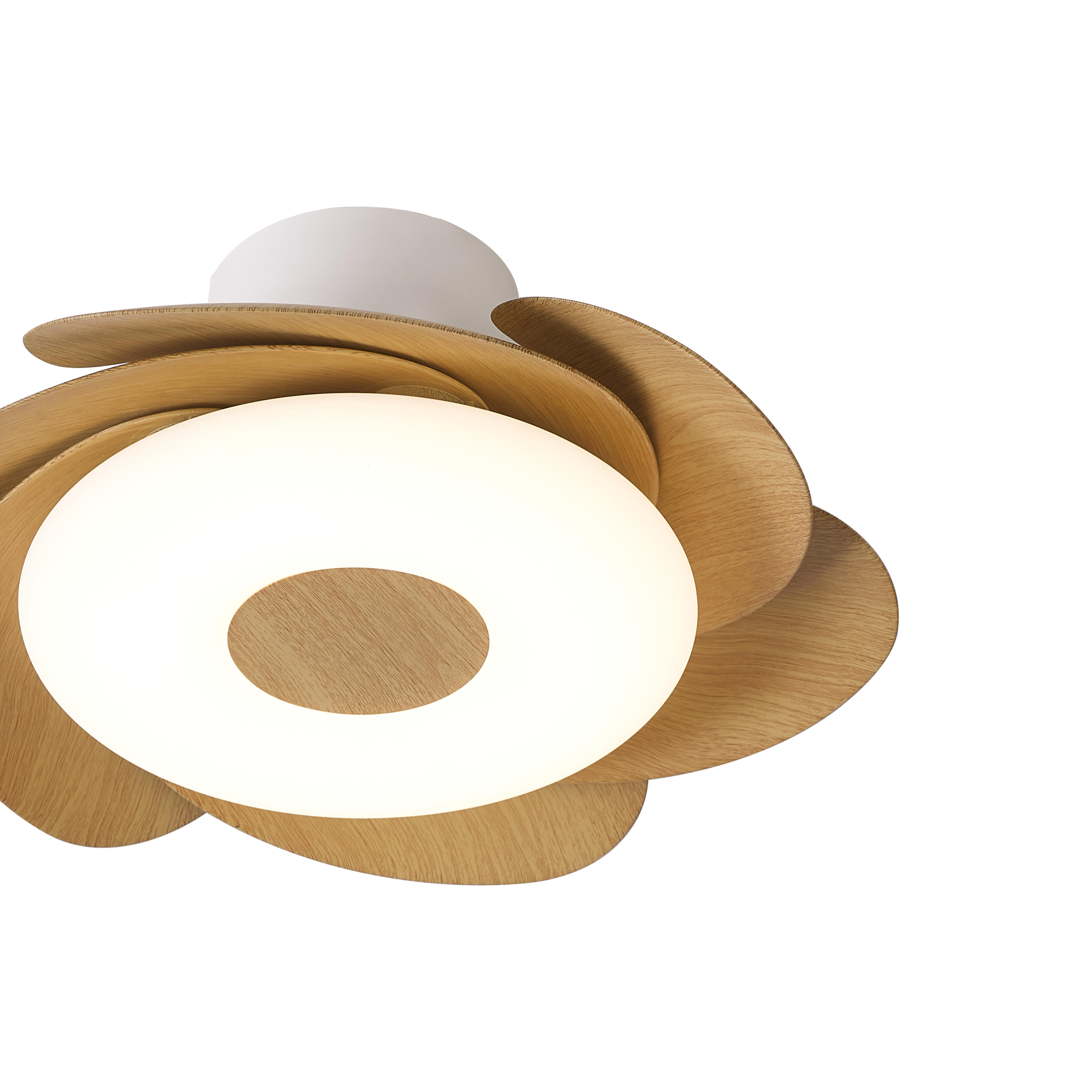 Ventilador de techo con luz silencioso DC 24W con mando ø79 cm Flower MANTRA marrón y blanco luz CCT 6 aspas retráctiles tipo lámpara| 6 velocidades| modo verano/invierno| brisa| recomendado para <13m² - 15